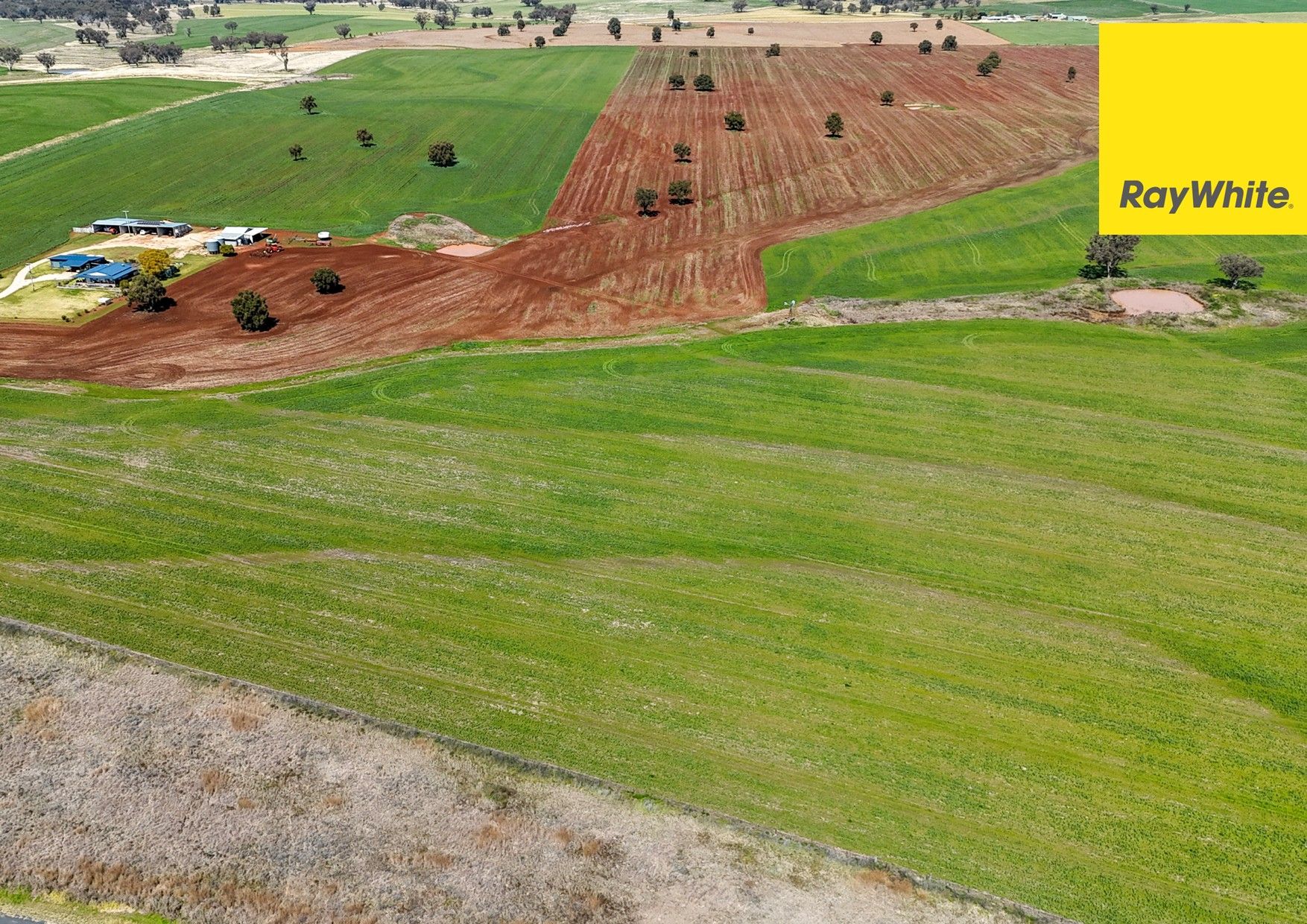 'Colorado' Delungra Bypass Road, Delungra, NSW 2403