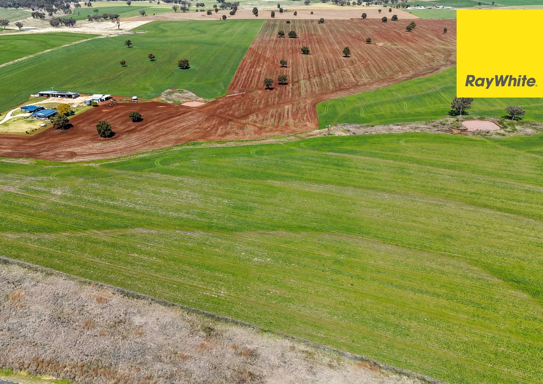 'Colorado' Delungra Bypass Road, Delungra, NSW 2403