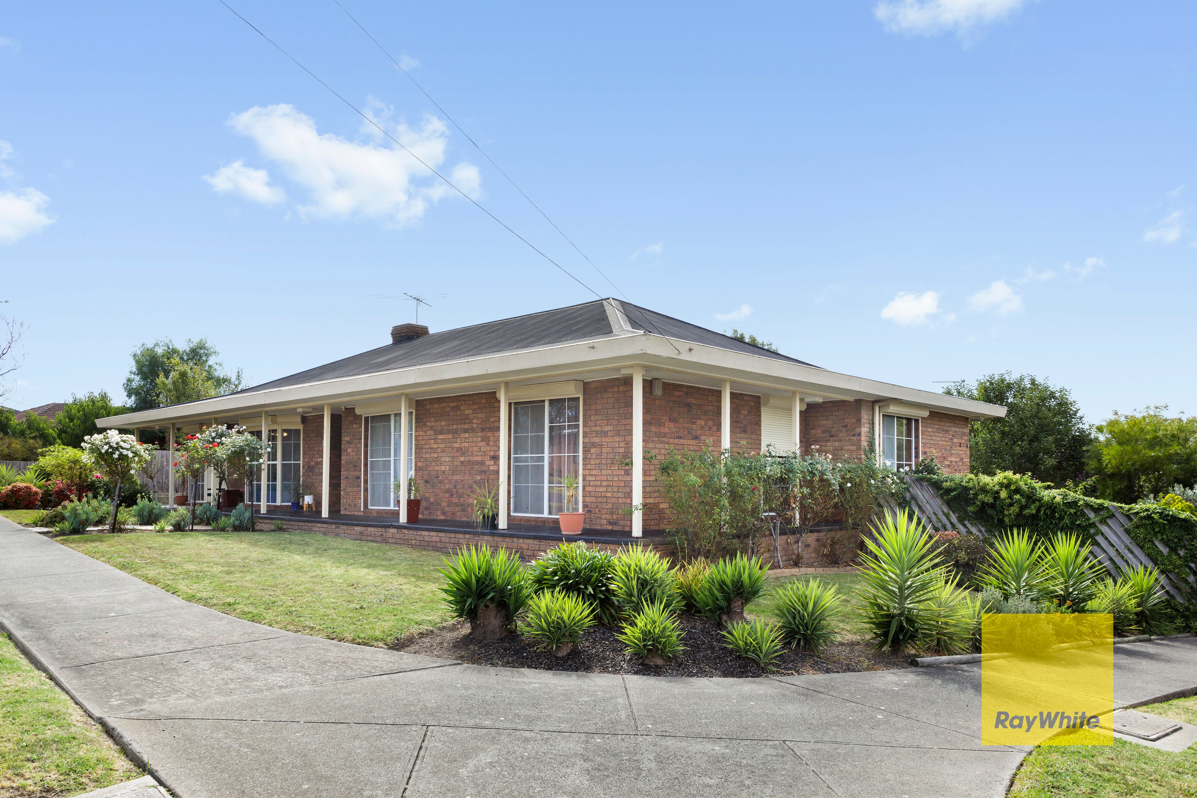 1 Southdown Crescent, Belmont, VIC 3216