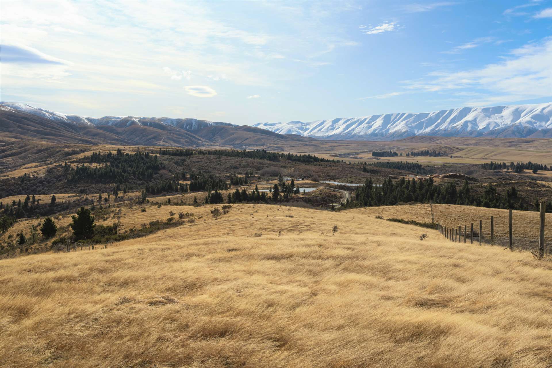 0 St Bathans Road photo 9