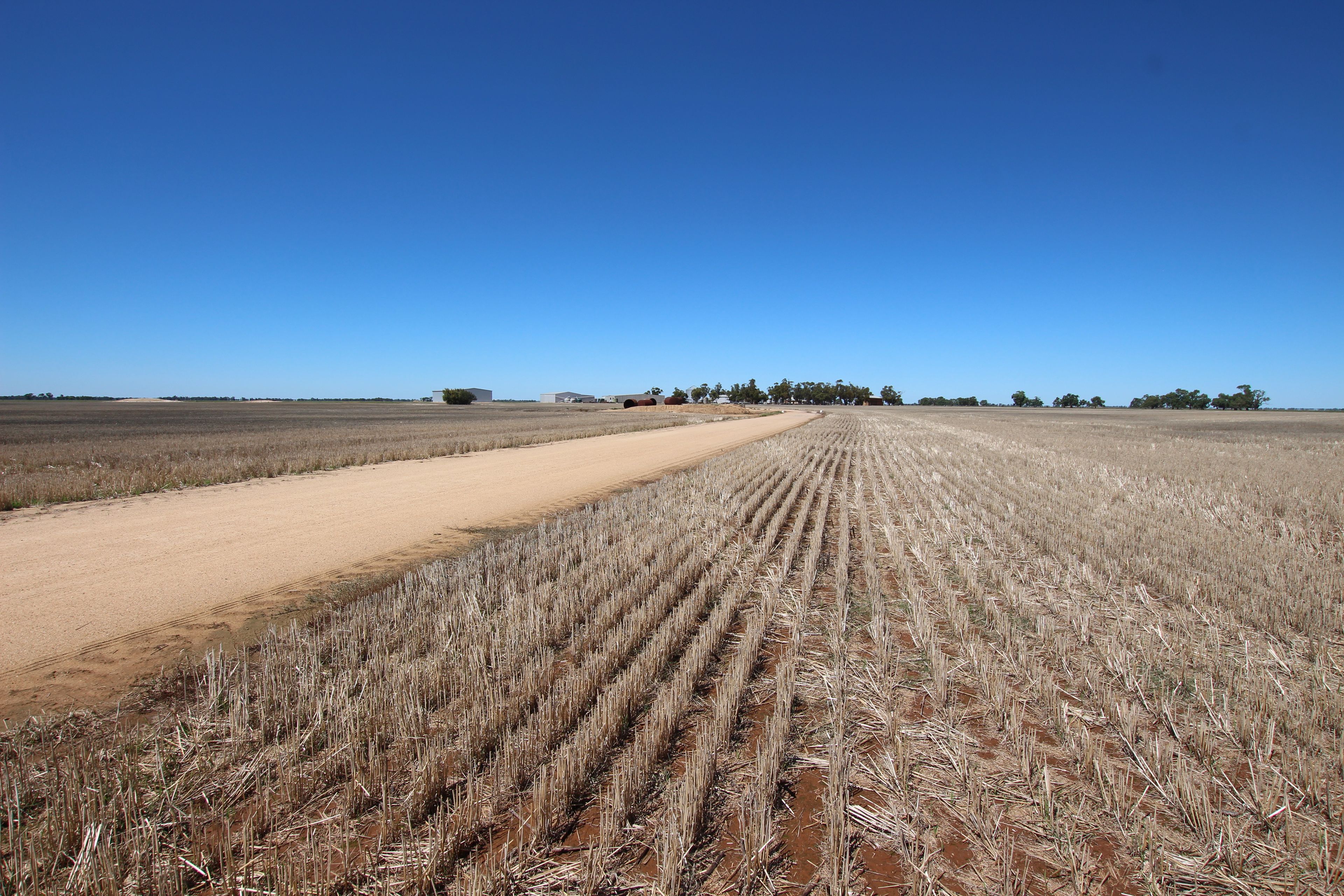 _ Millar Road, Mitiamo, VIC 3573