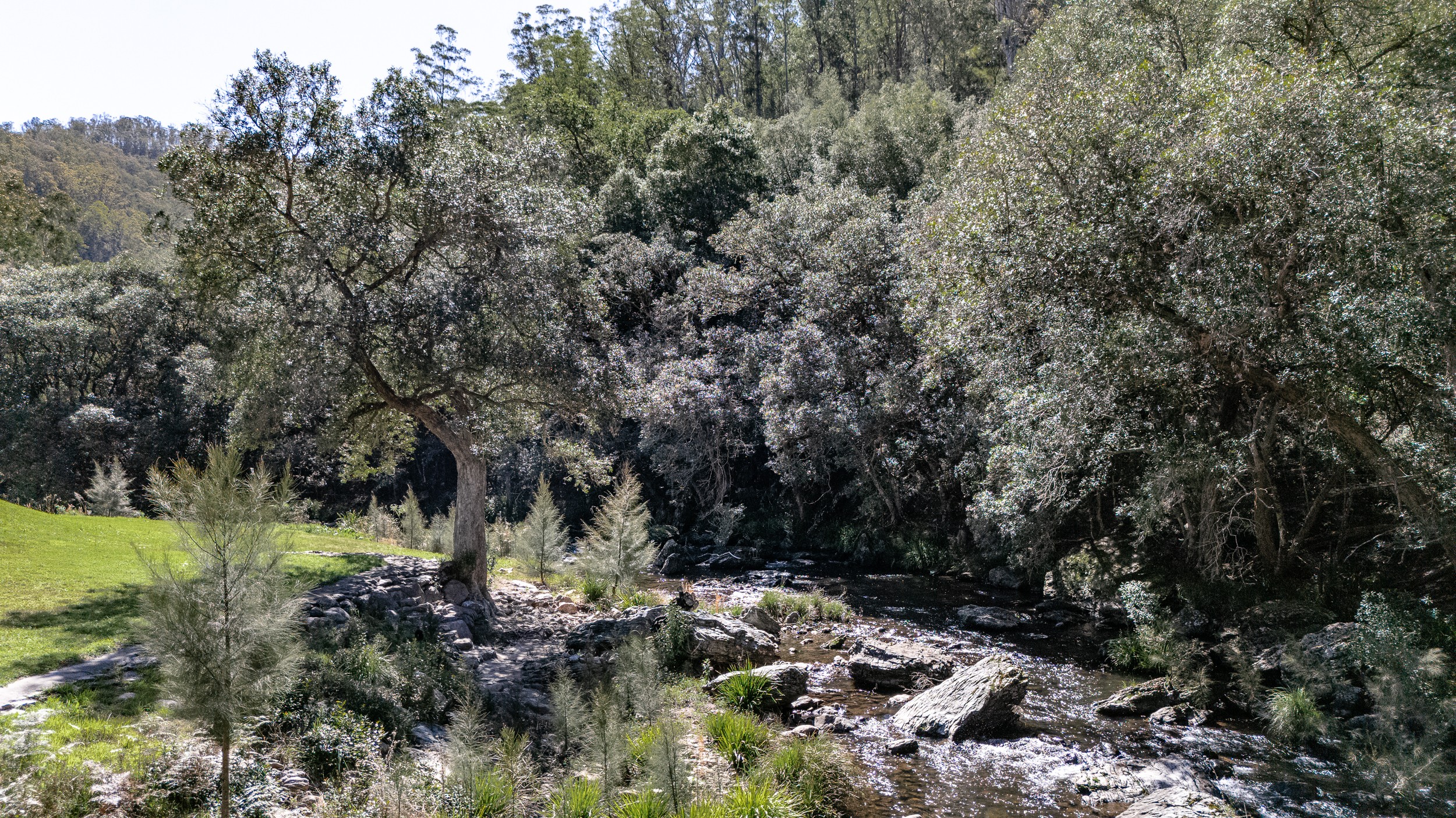 2469 Cells Road, Cells River, NSW 2424