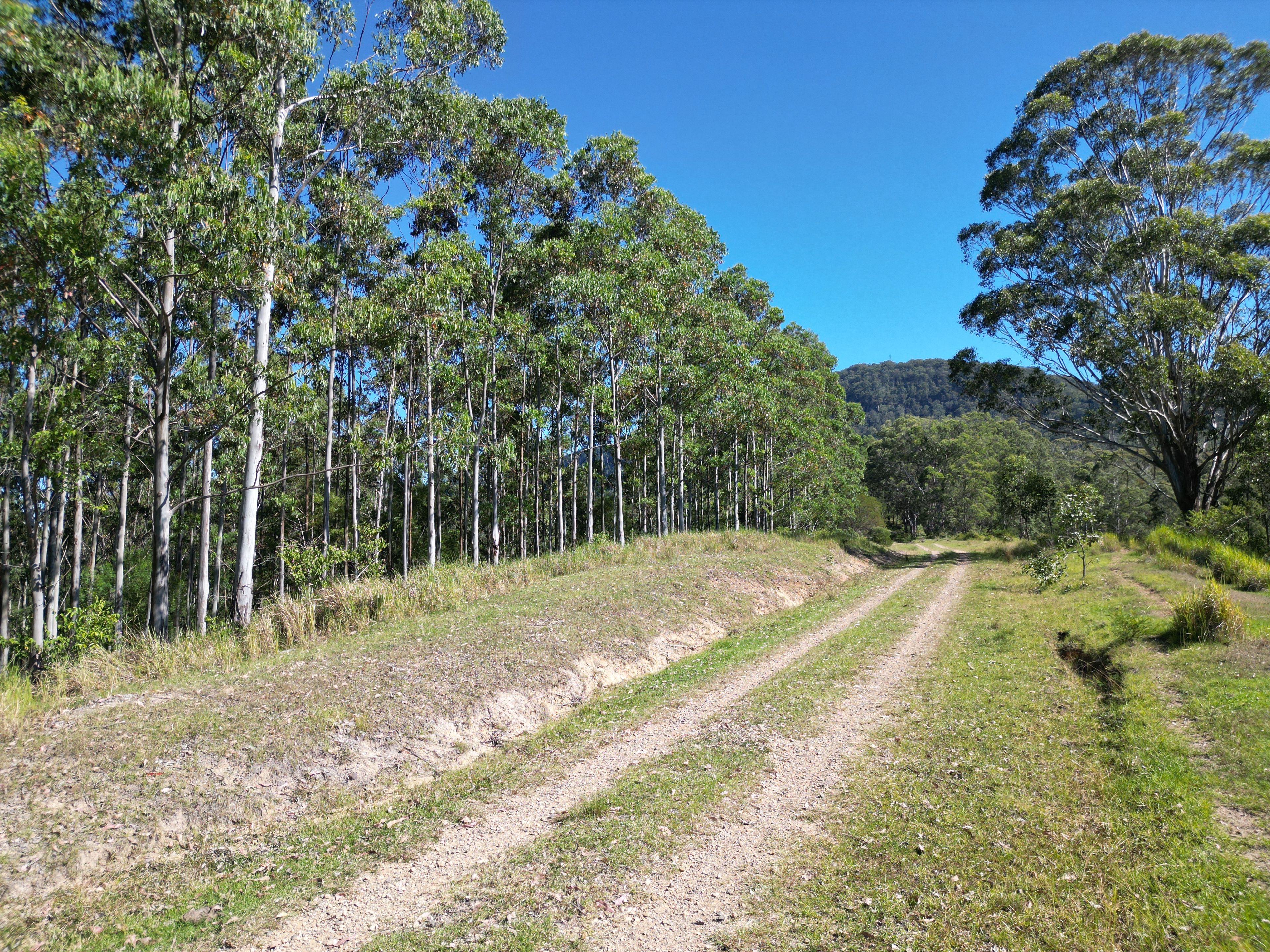 Lot 40 Joes Box Road — photo 11 of 15