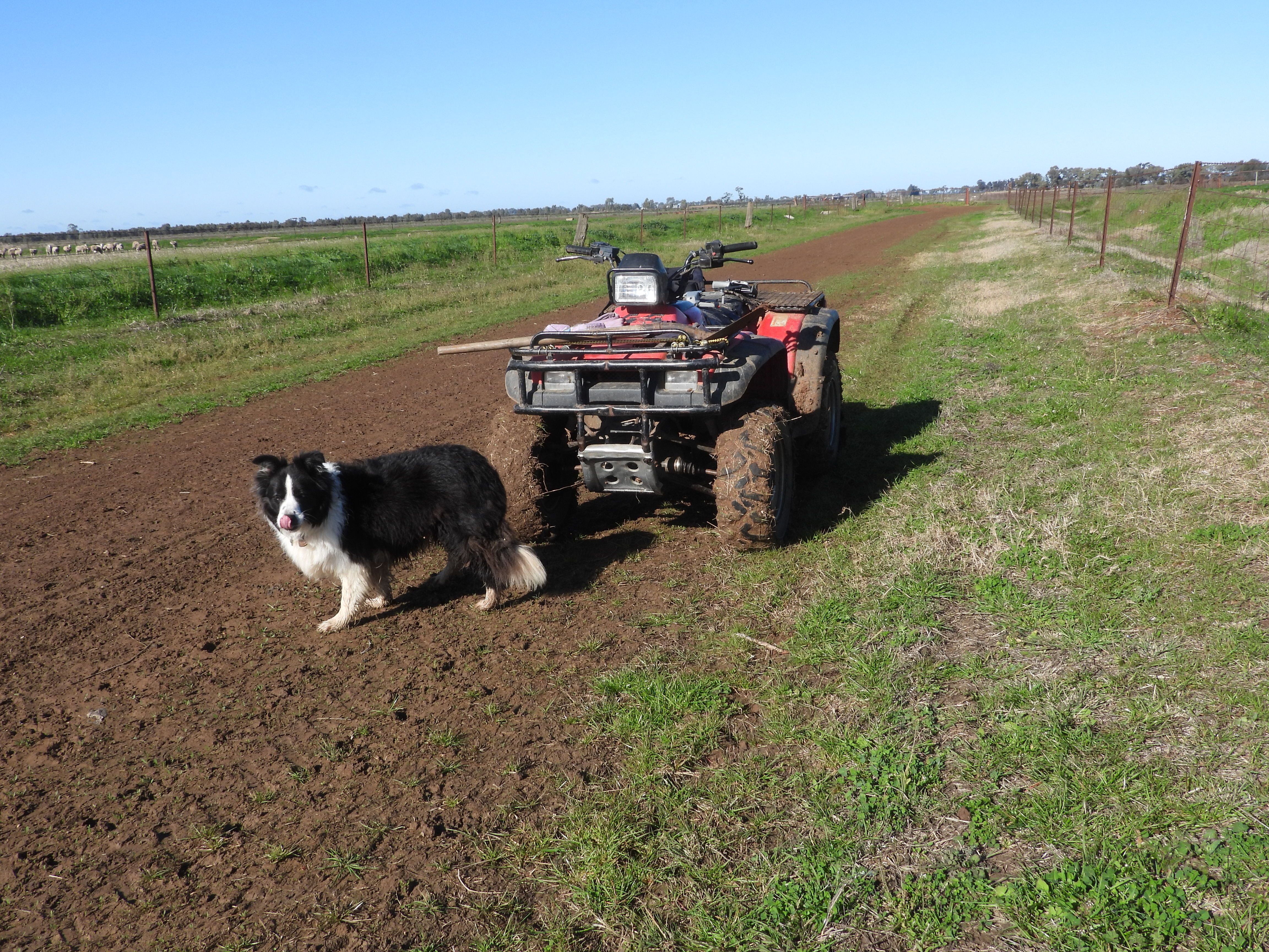 ( Davit Farm ) Cashmere Road, Widgelli, NSW 2680