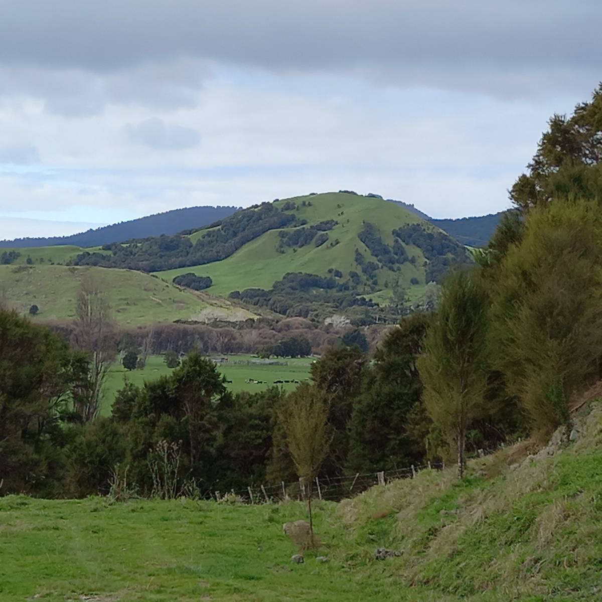 141 Puhunga Road, Ruatoria, Gisborne District Real Estate Ray White