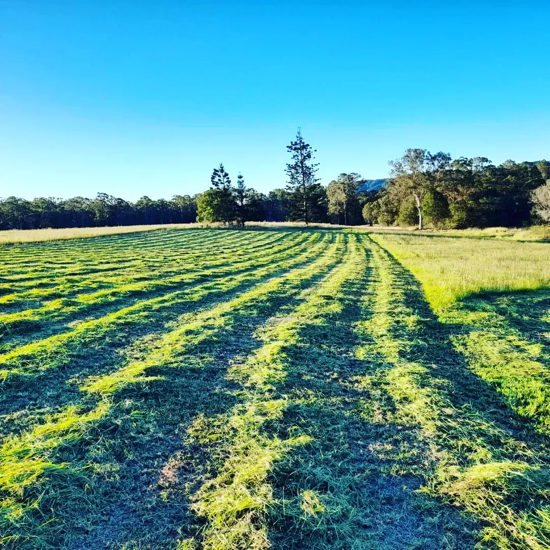 'The Mary Valley Farm' - A Rare Hinterland Legacy — photo 21 of 30