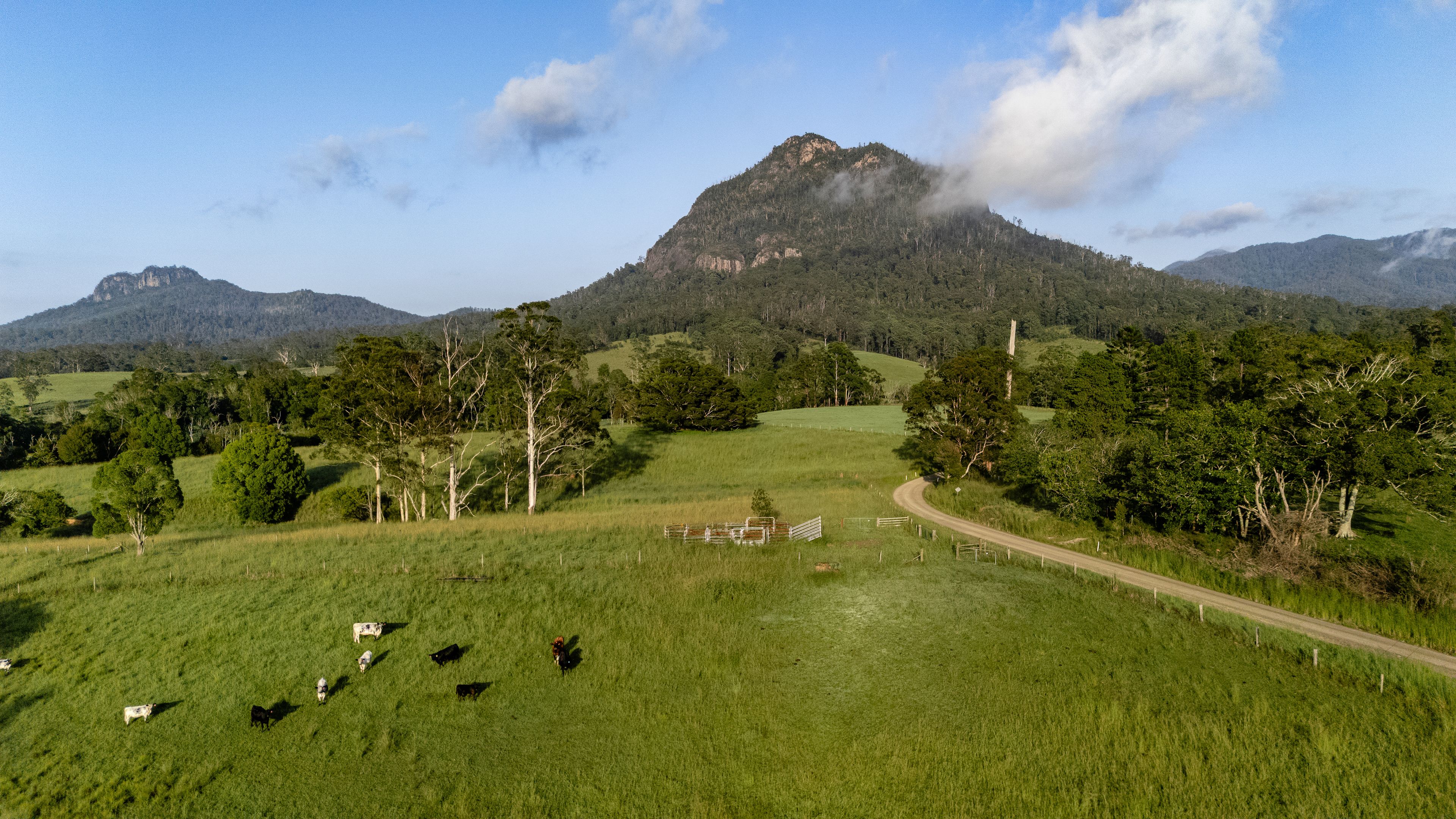 63 Mount Coxcomb Road, Upper Lansdowne, NSW 2430