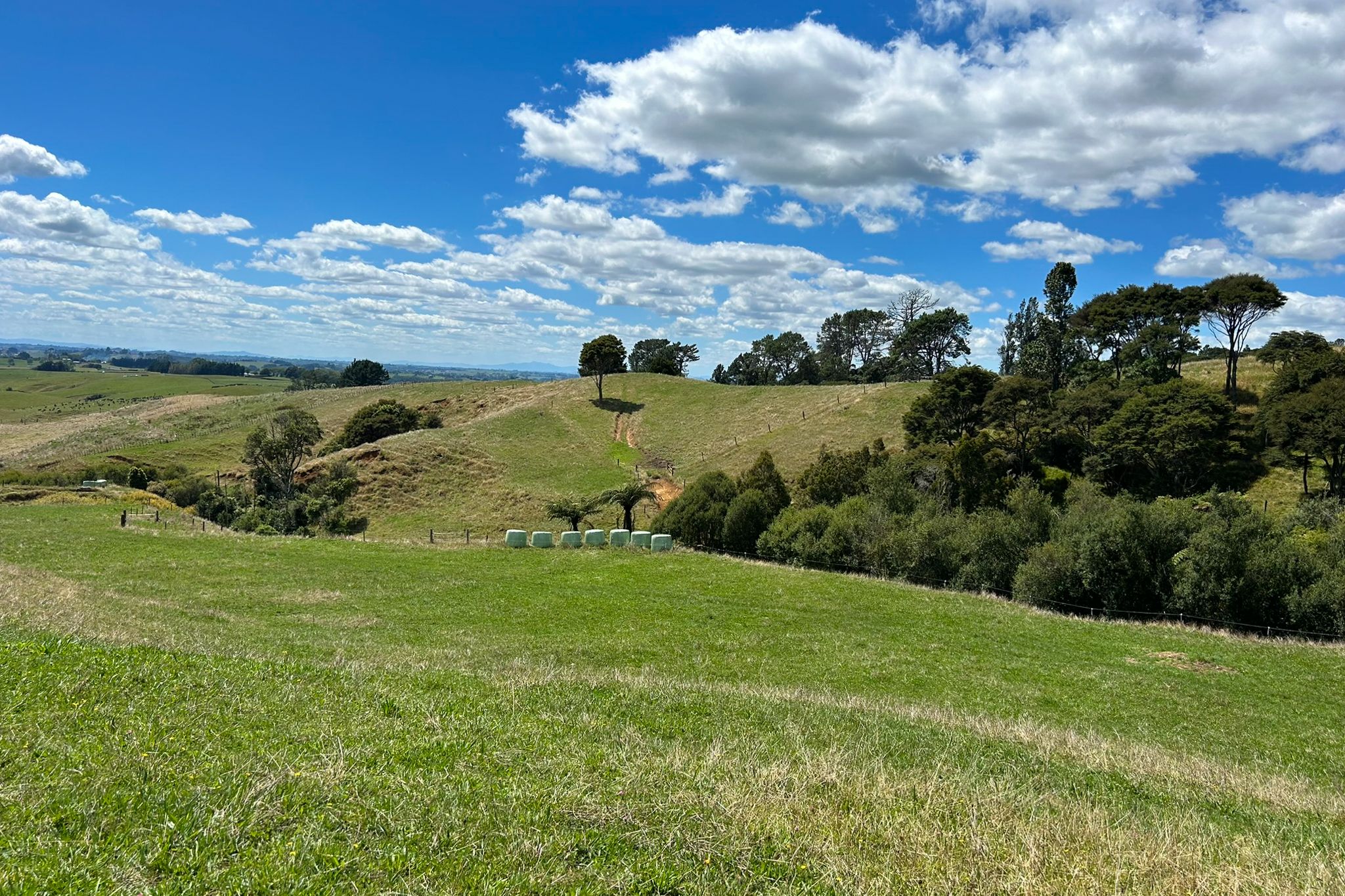 151 Arthur Road, Te Pahu, Waipa District 3285 Rural Finishing