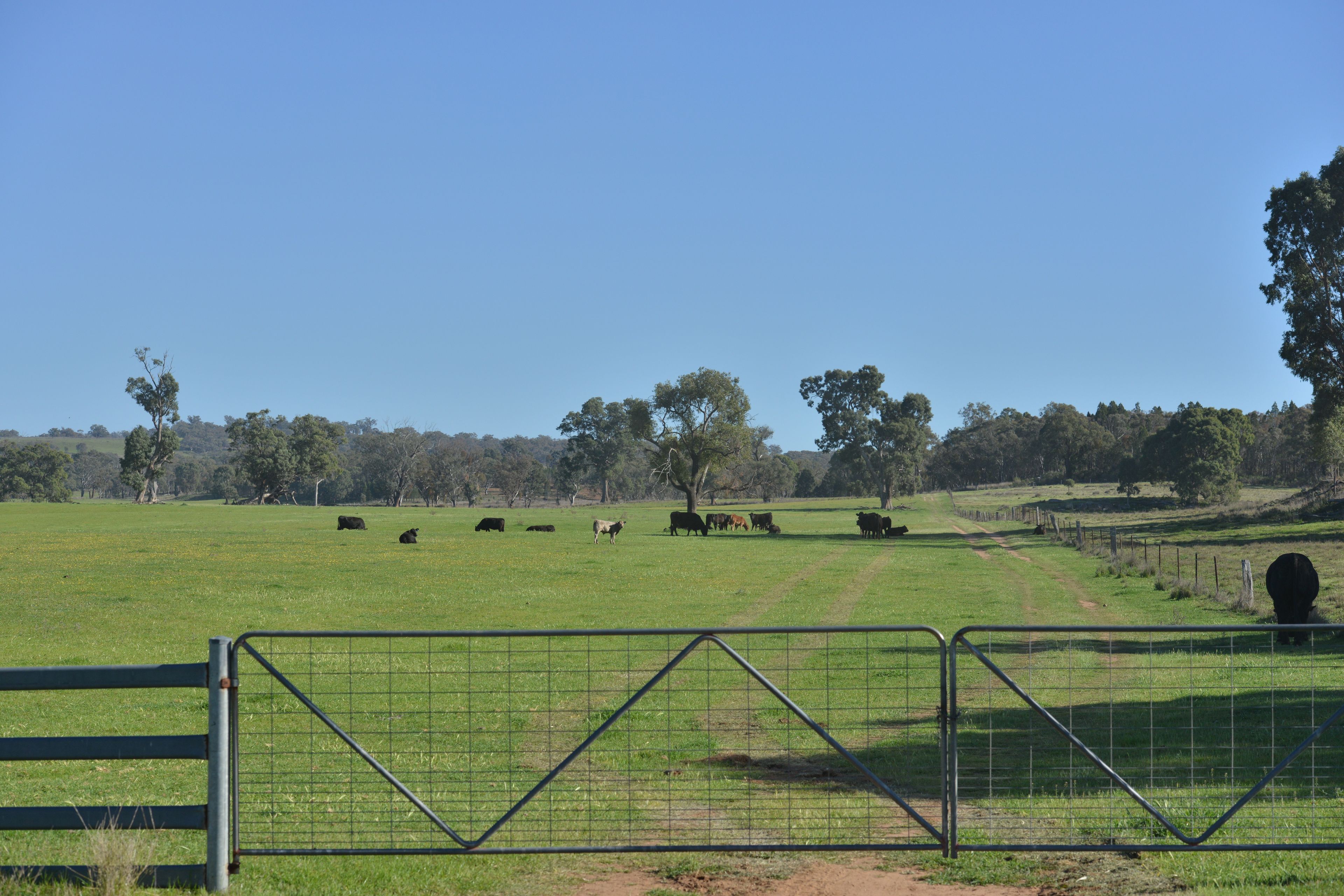 4861 Coonabarabran Road — photo 30 of 30