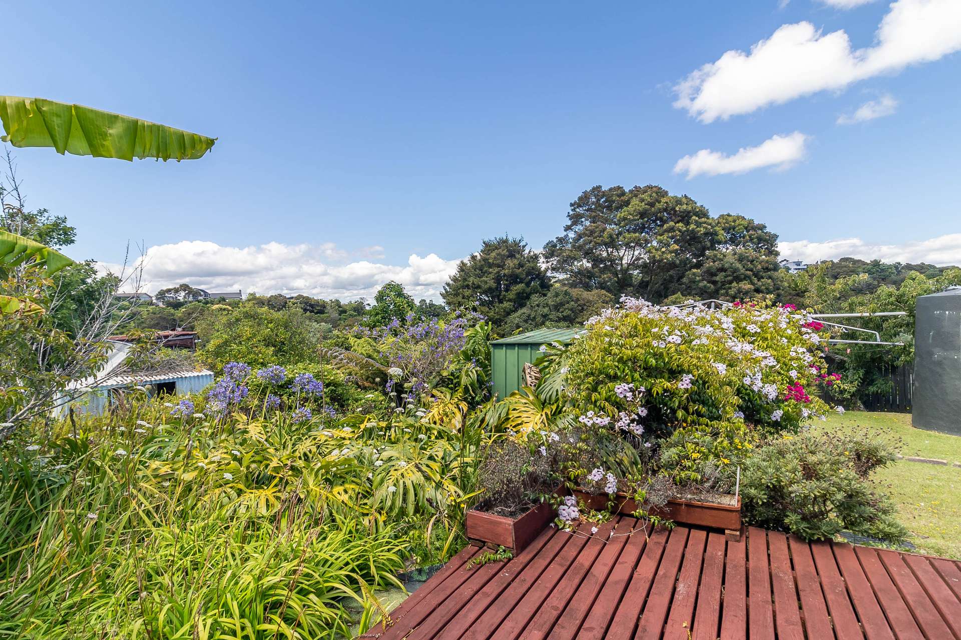 16 Hekerua Road photo 28