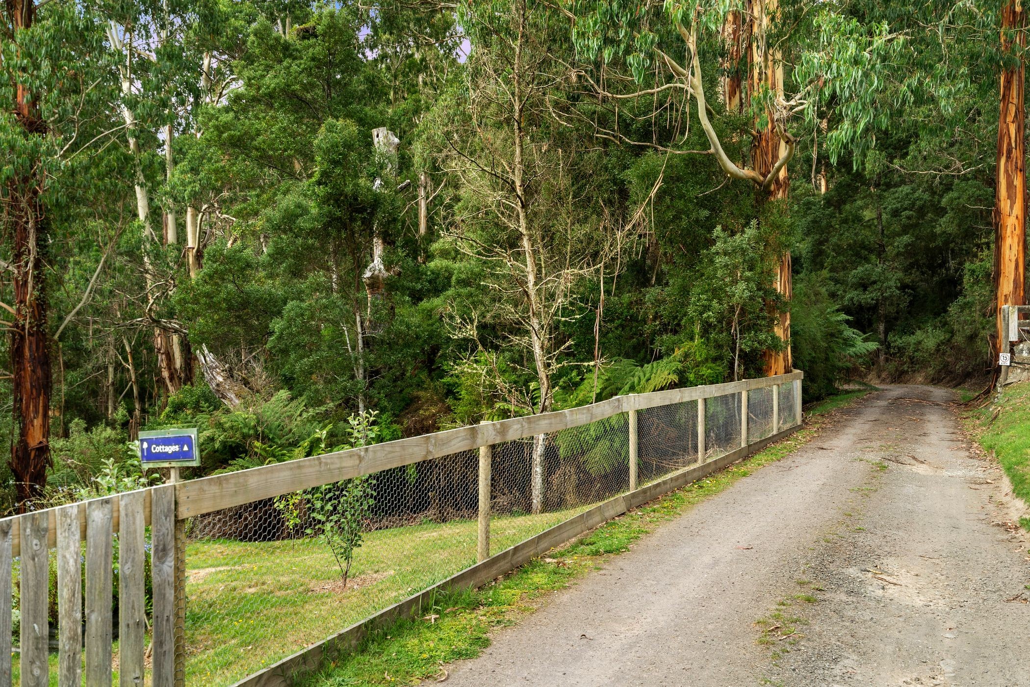 1088 Barham River Road, Apollo Bay, VIC 3233