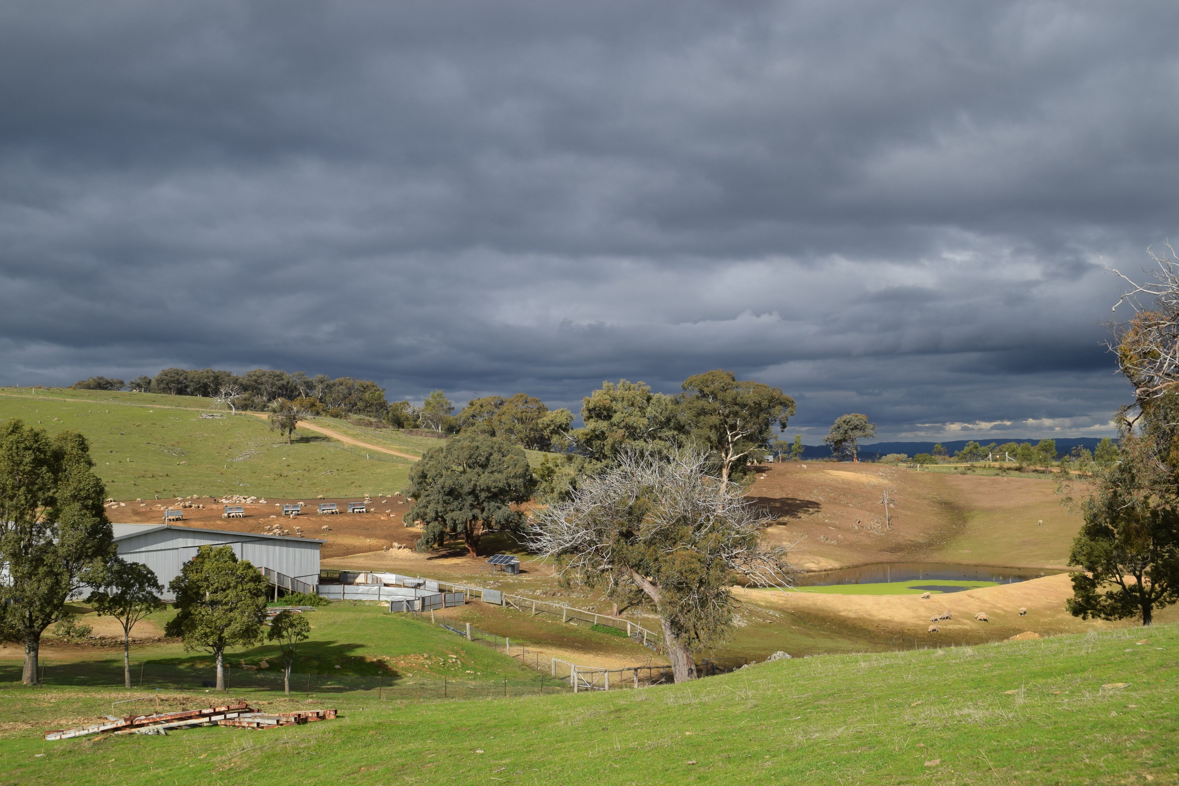 'Morella' 1257 Bundalah Road — photo 4 of 29