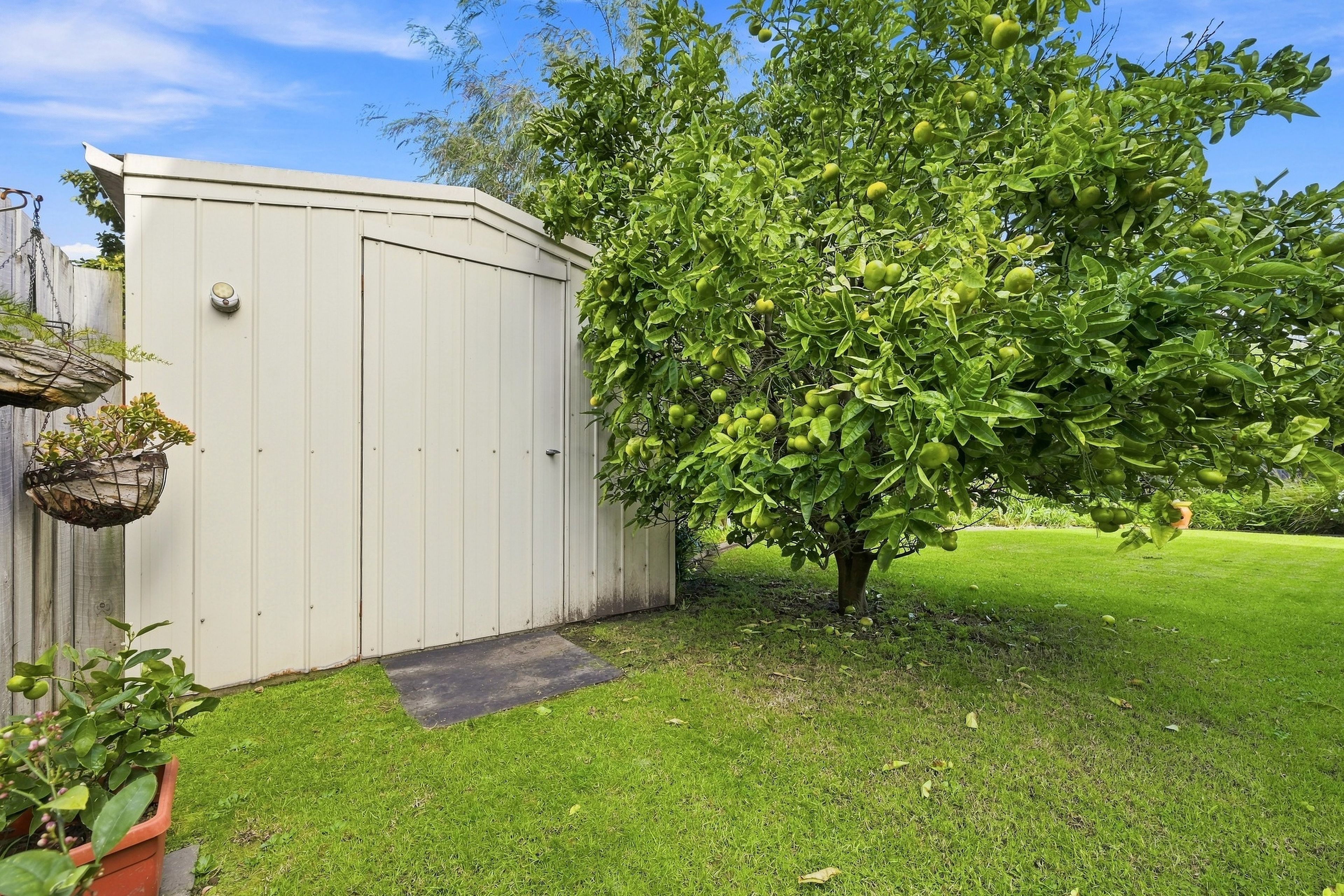6 Beilby Avenue — photo 18 of 21