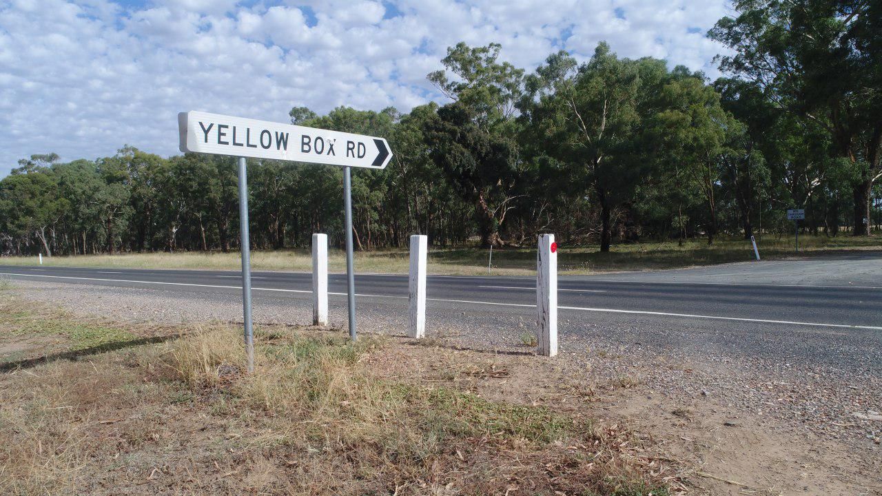 98 Yellow Box Road, Forbes, NSW 2871