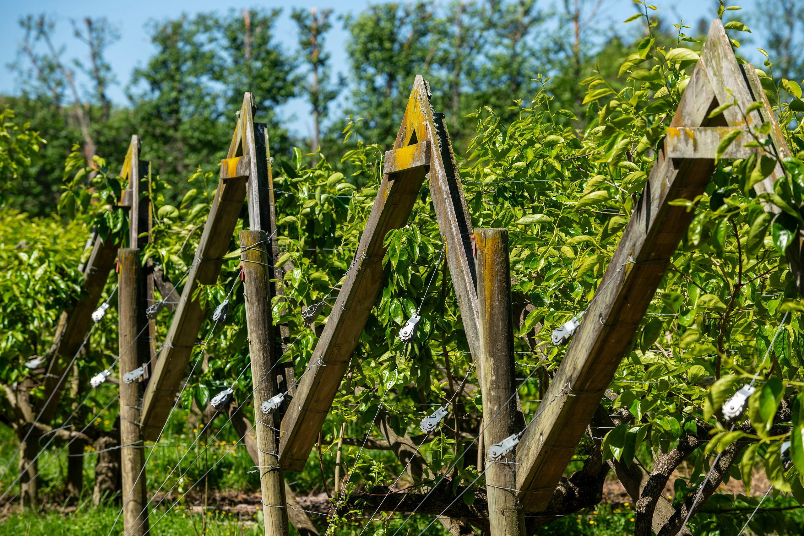 0 Whakatere Road, Manutuke, Gisborne District