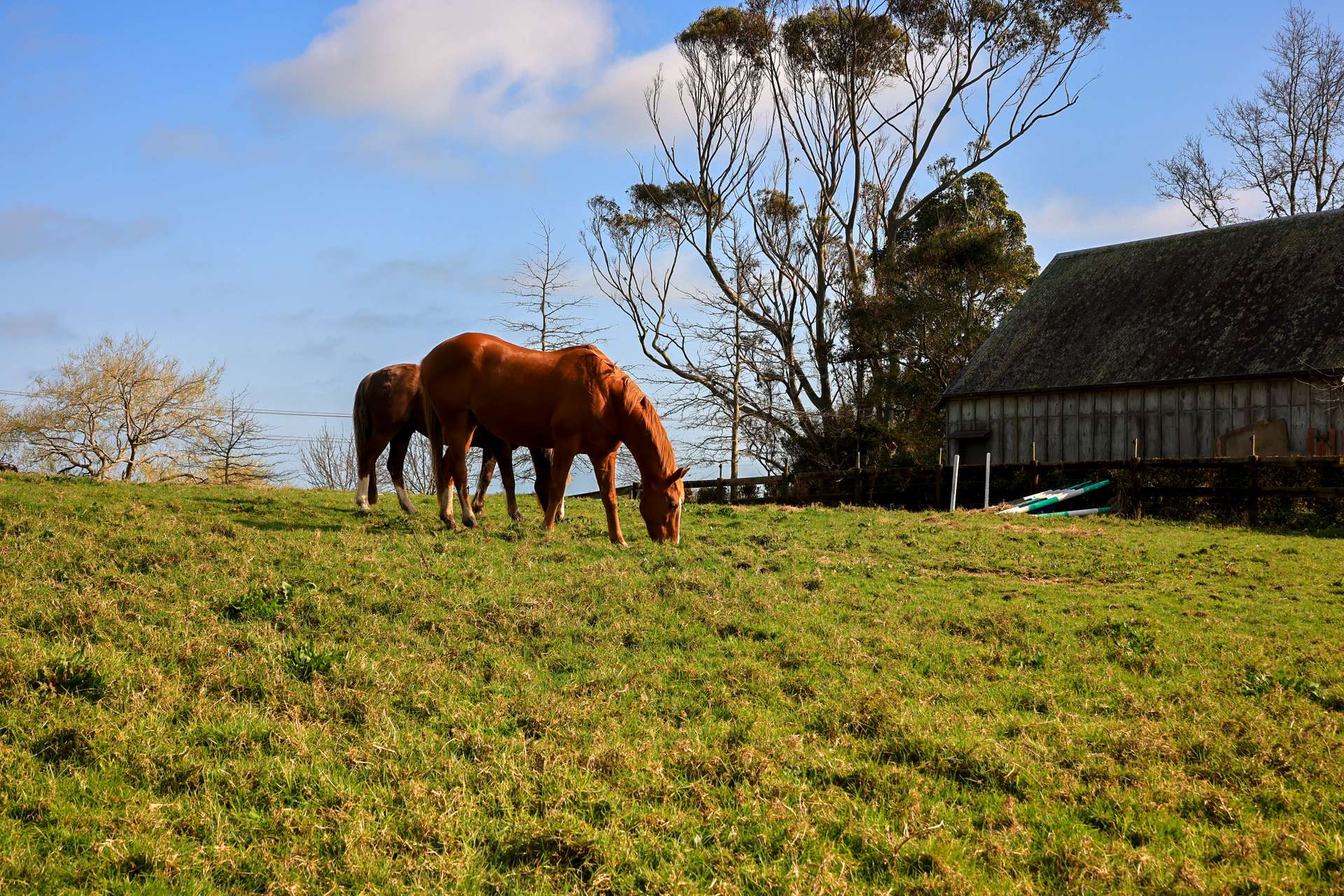 605 Whitford-Maraetai Road photo 4