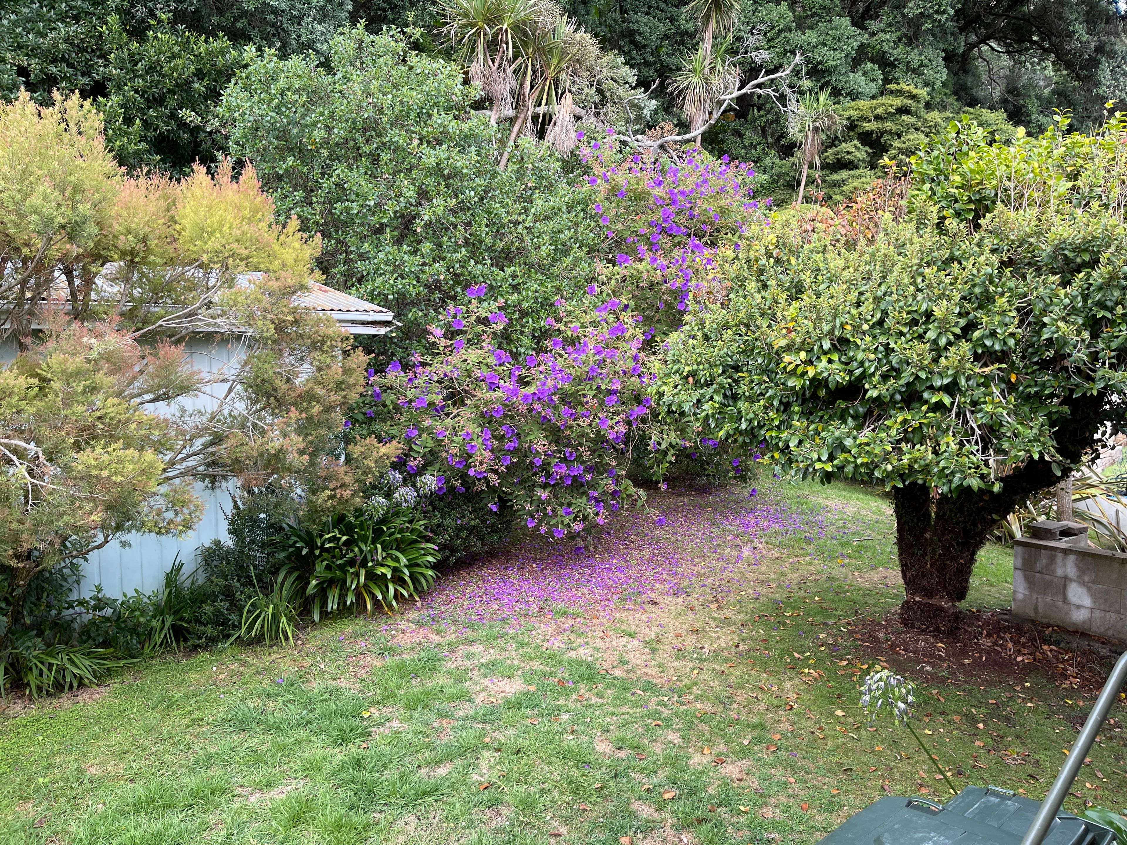 40B West End Road, Ohope, Whakatane District