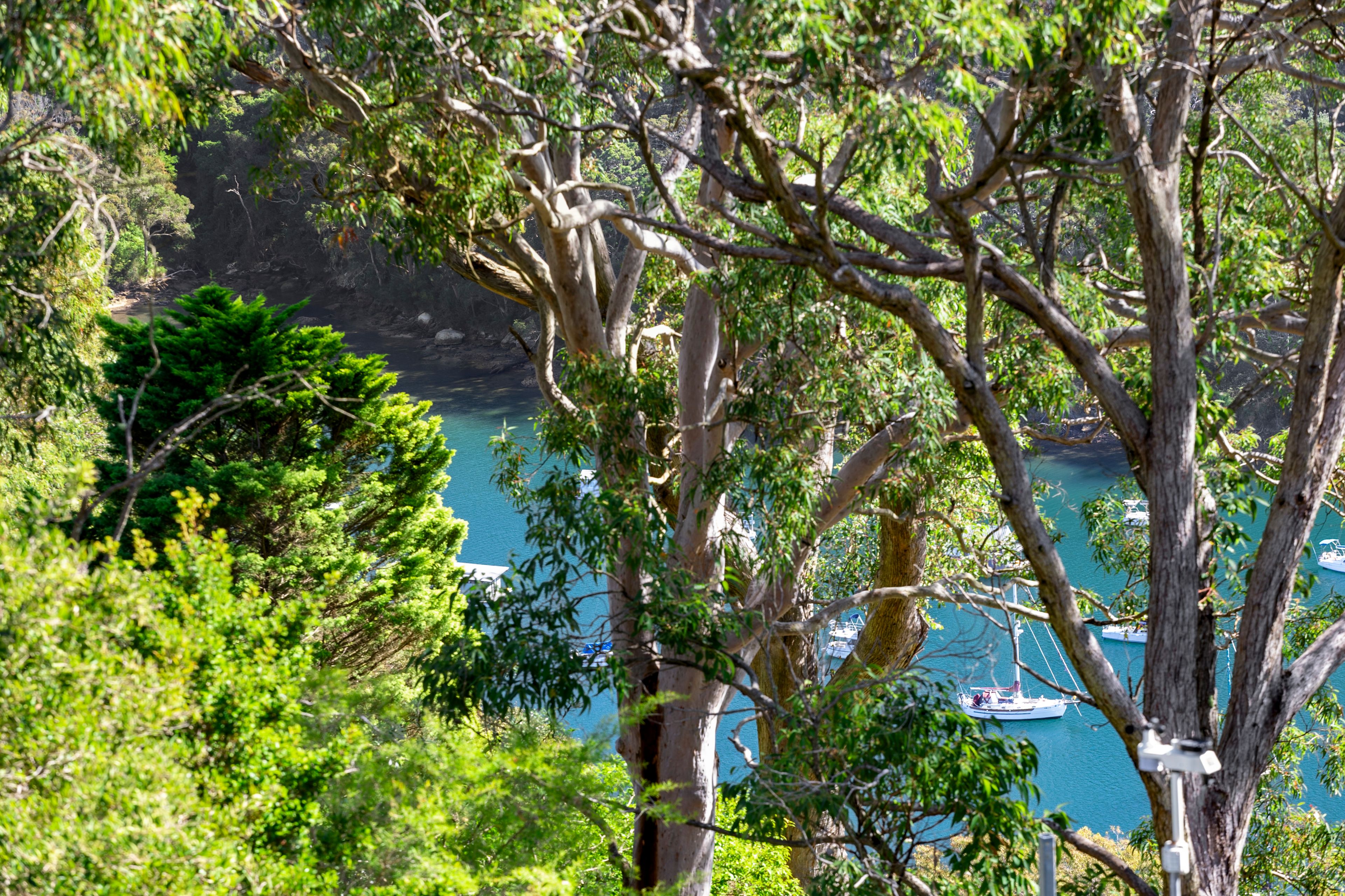 Wonderfully versatile and secluded family sanctuary in a whisper-quiet cul-de-sac with expansive bushland panoramas — photo 3 of 9