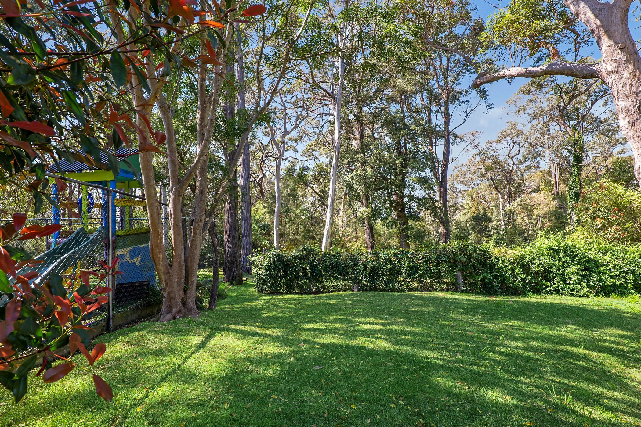 41 Waratah Street — photo 11 of 12