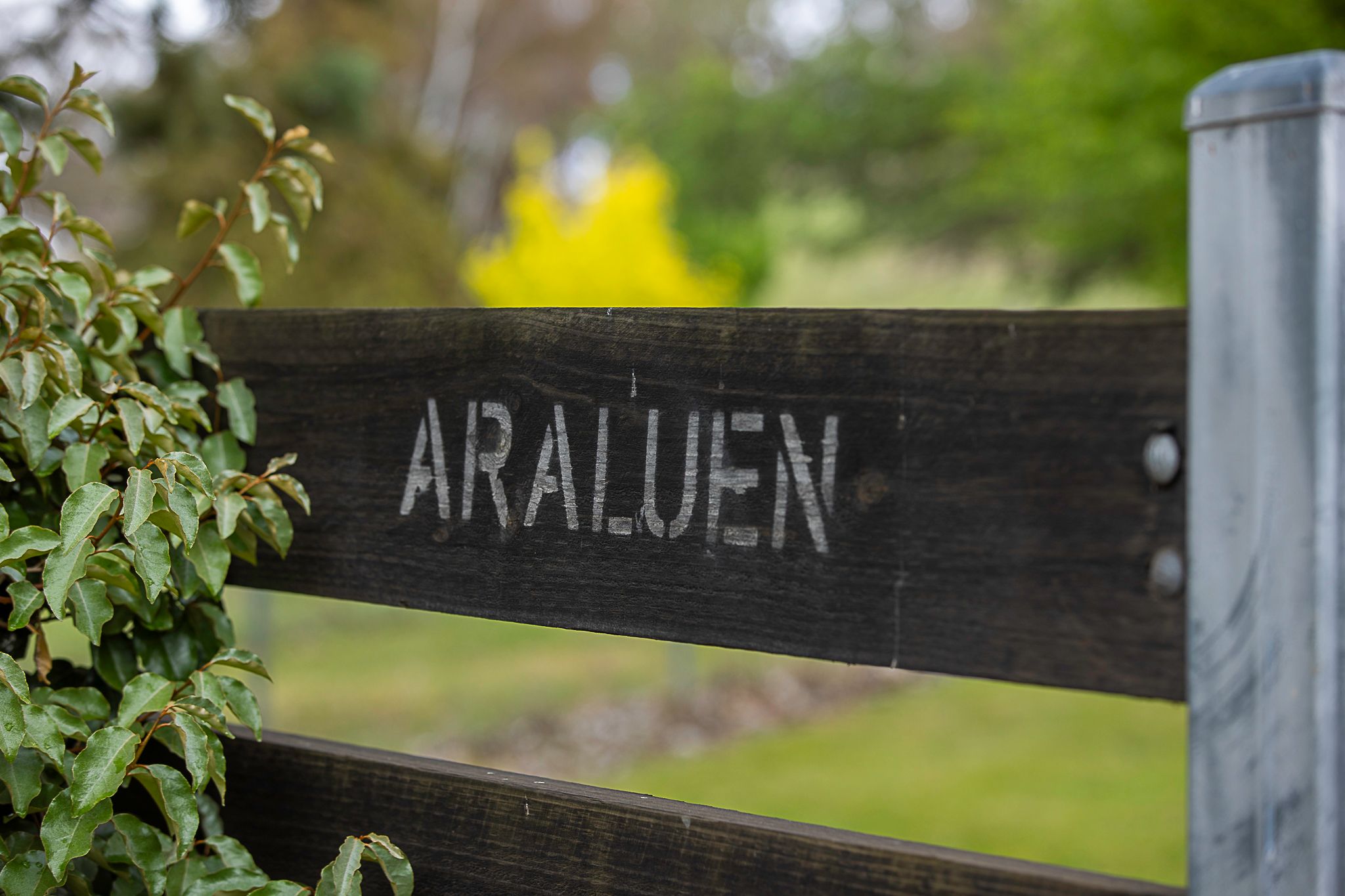 "Araluen" 11623 New England Highway — photo 22 of 30