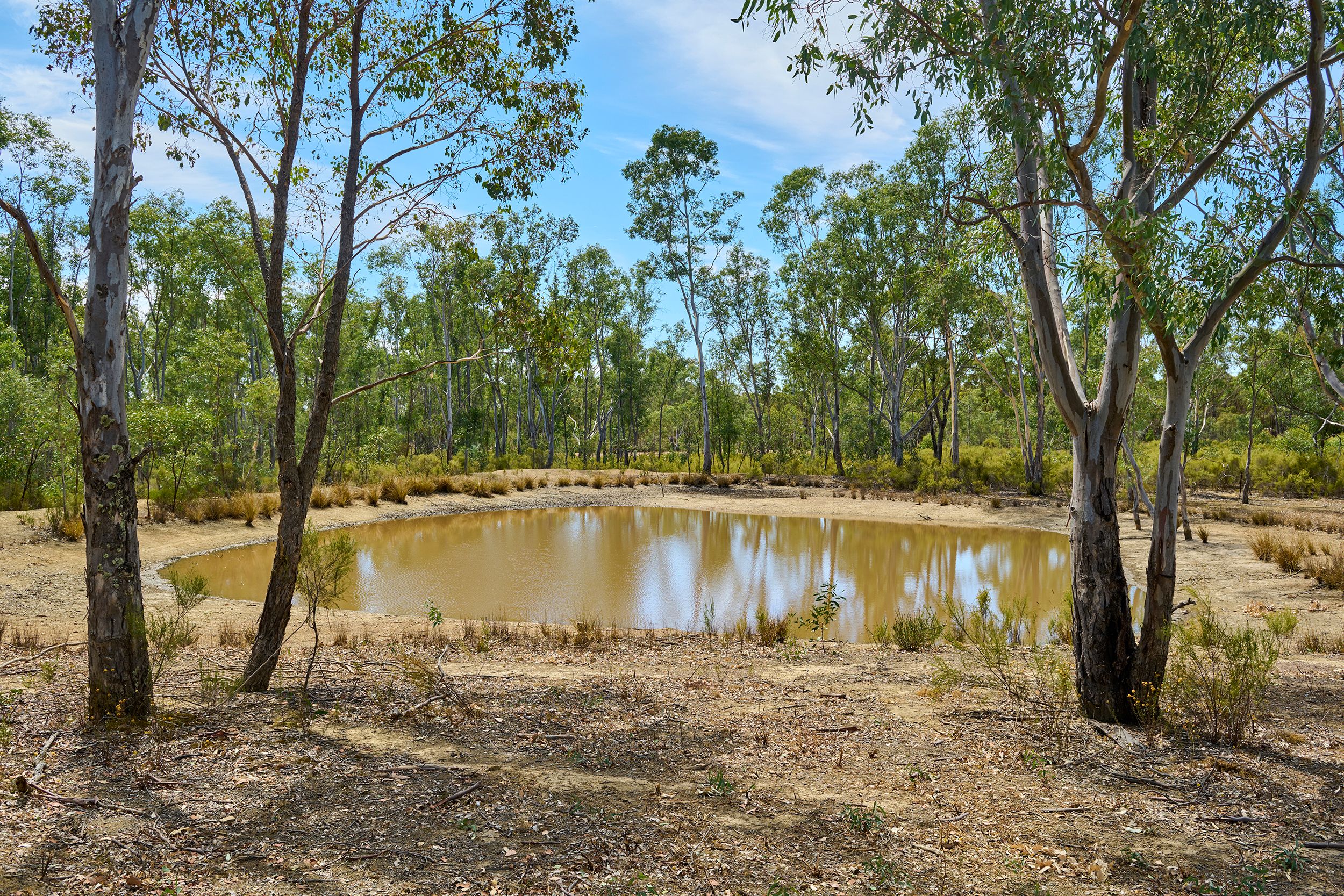 19 Doolan Crescent, Heathcote, VIC 3523