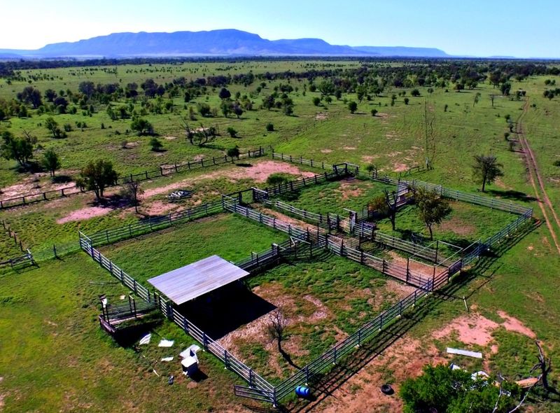 Blackwater, QLD Rural Rural Livestock Property Sold