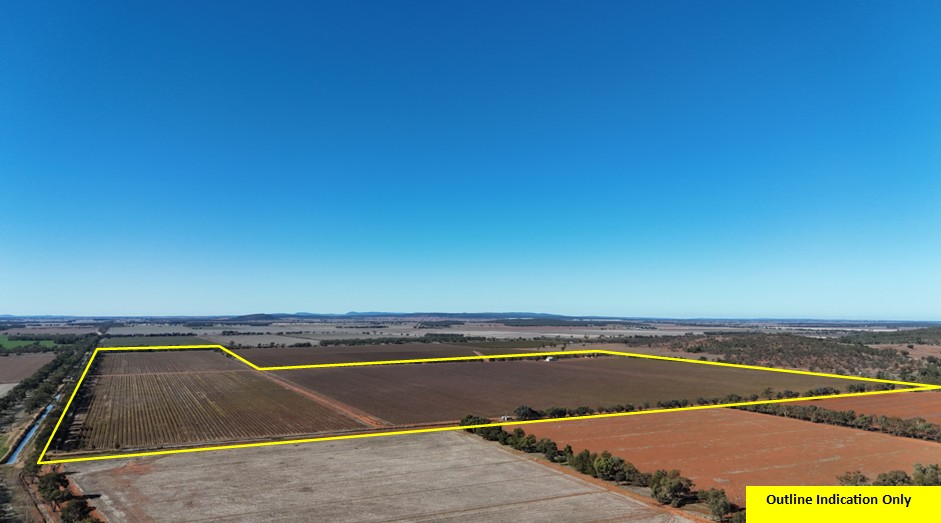 530 Dalton Road, Yenda, NSW 2681