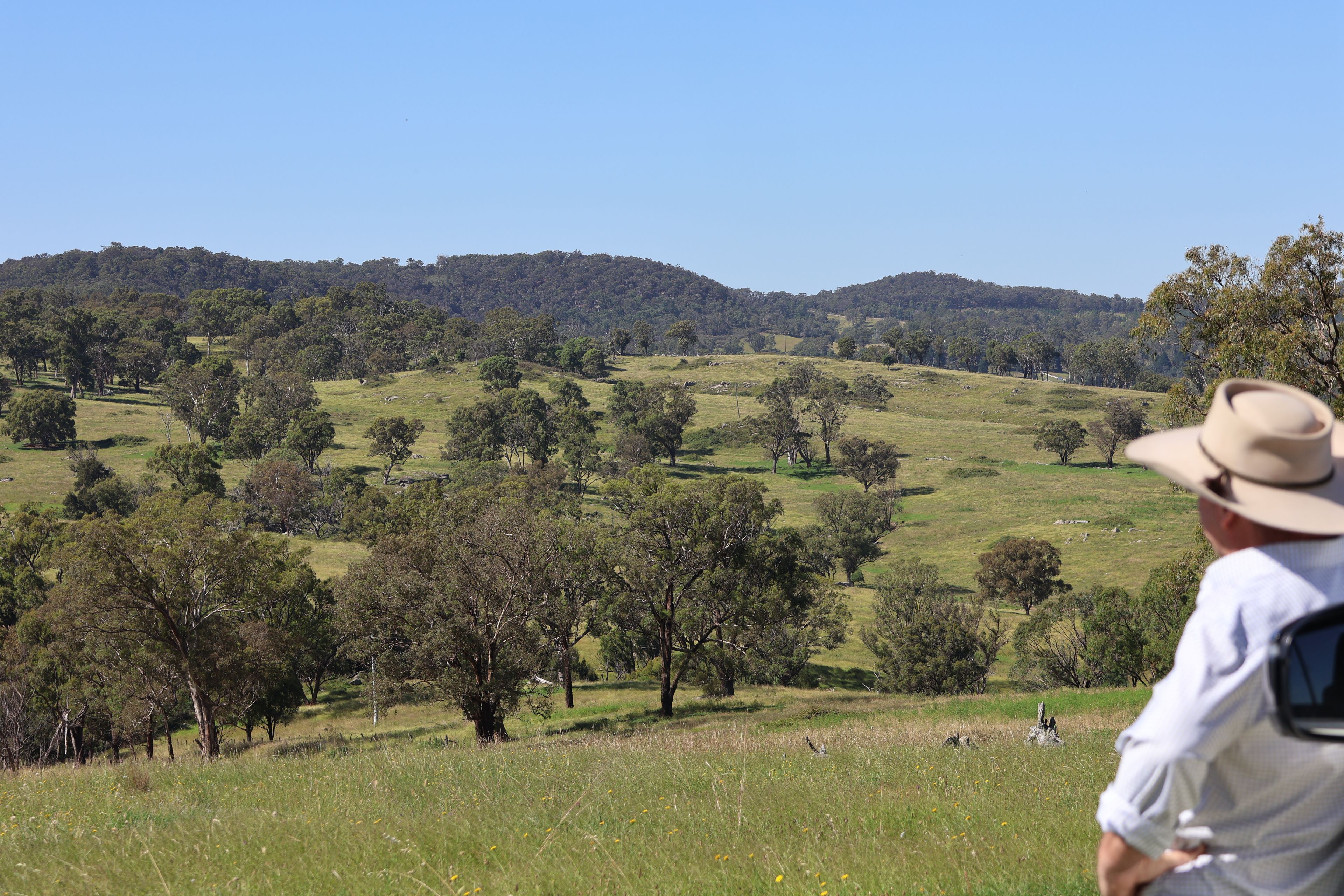 380 Nandi Road, Canyonleigh, NSW 2577 Rural Livestock Property for