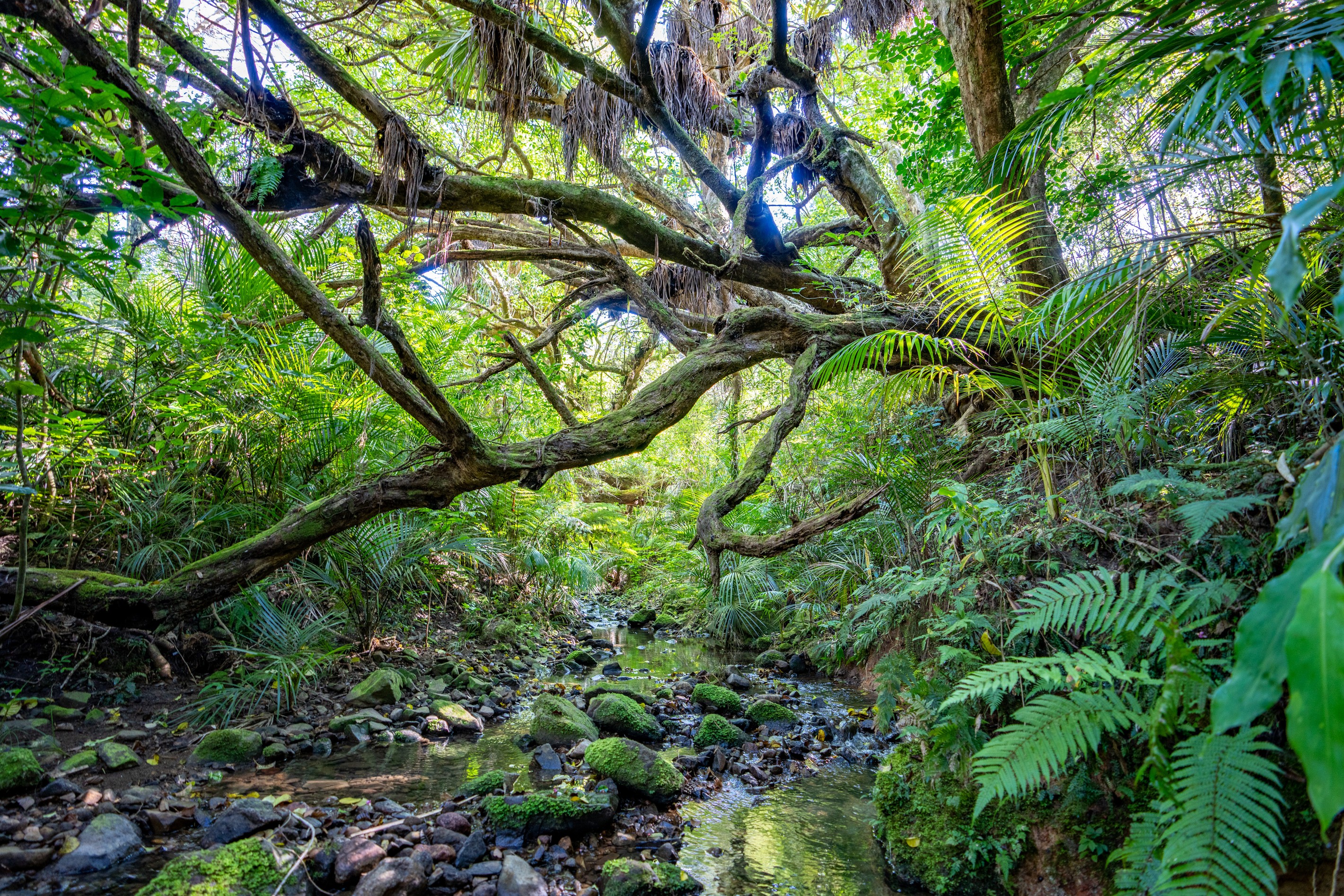 9 Whatonga Place, Whangarei Heads, Whangarei District