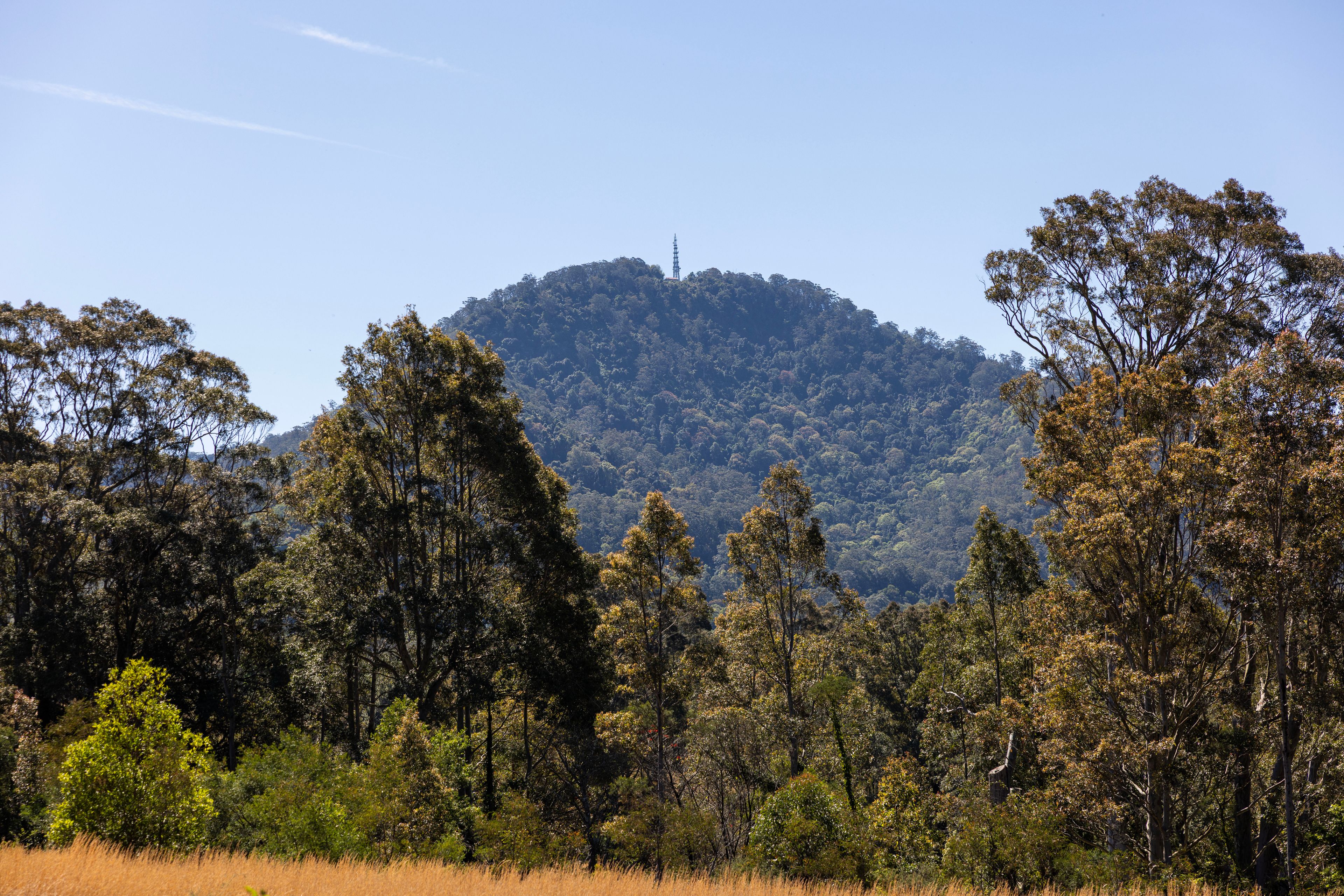 Lot 311, 104 Taylors Lane, BADAGARANG, NSW 2540