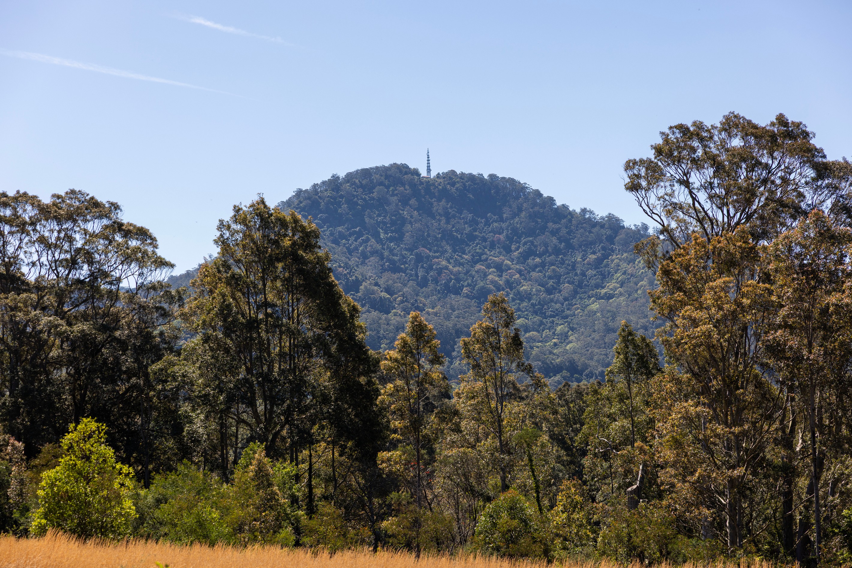Lot 311, 104 Taylors Lane, BADAGARANG, NSW 2540