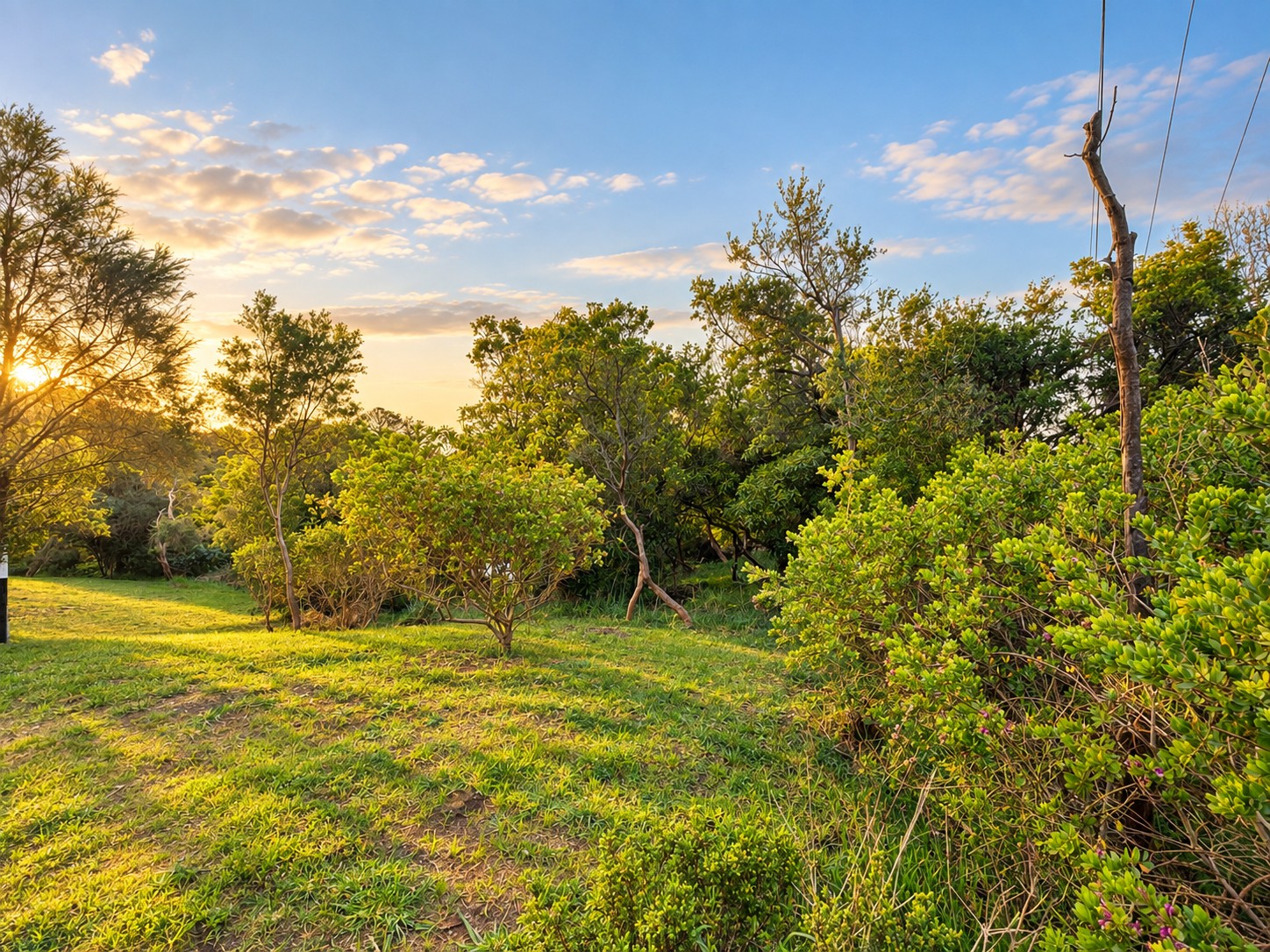 14 Cape Schanck Road, Cape Schanck, VIC 3939