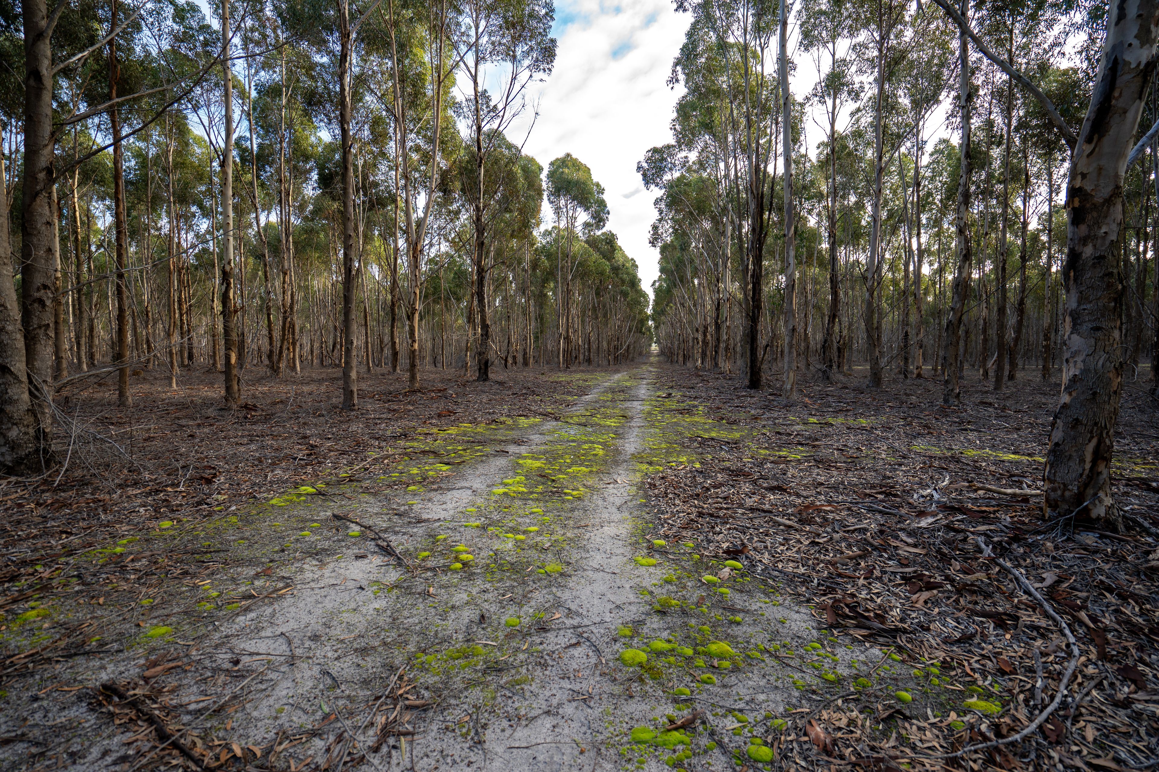 Lot 1895 Pallinup River Estate — photo 20 of 30