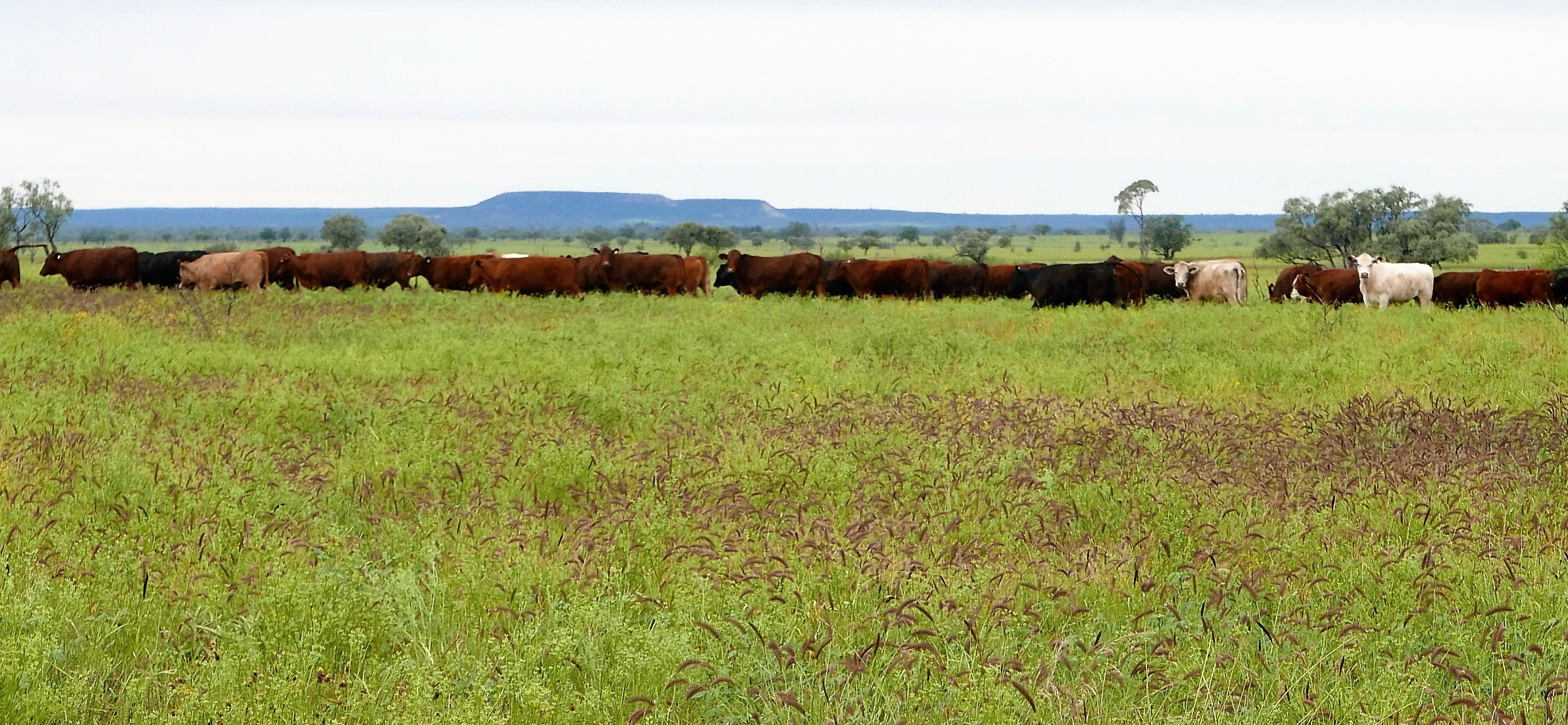 0 Terrick Road, Blackall, QLD 4472