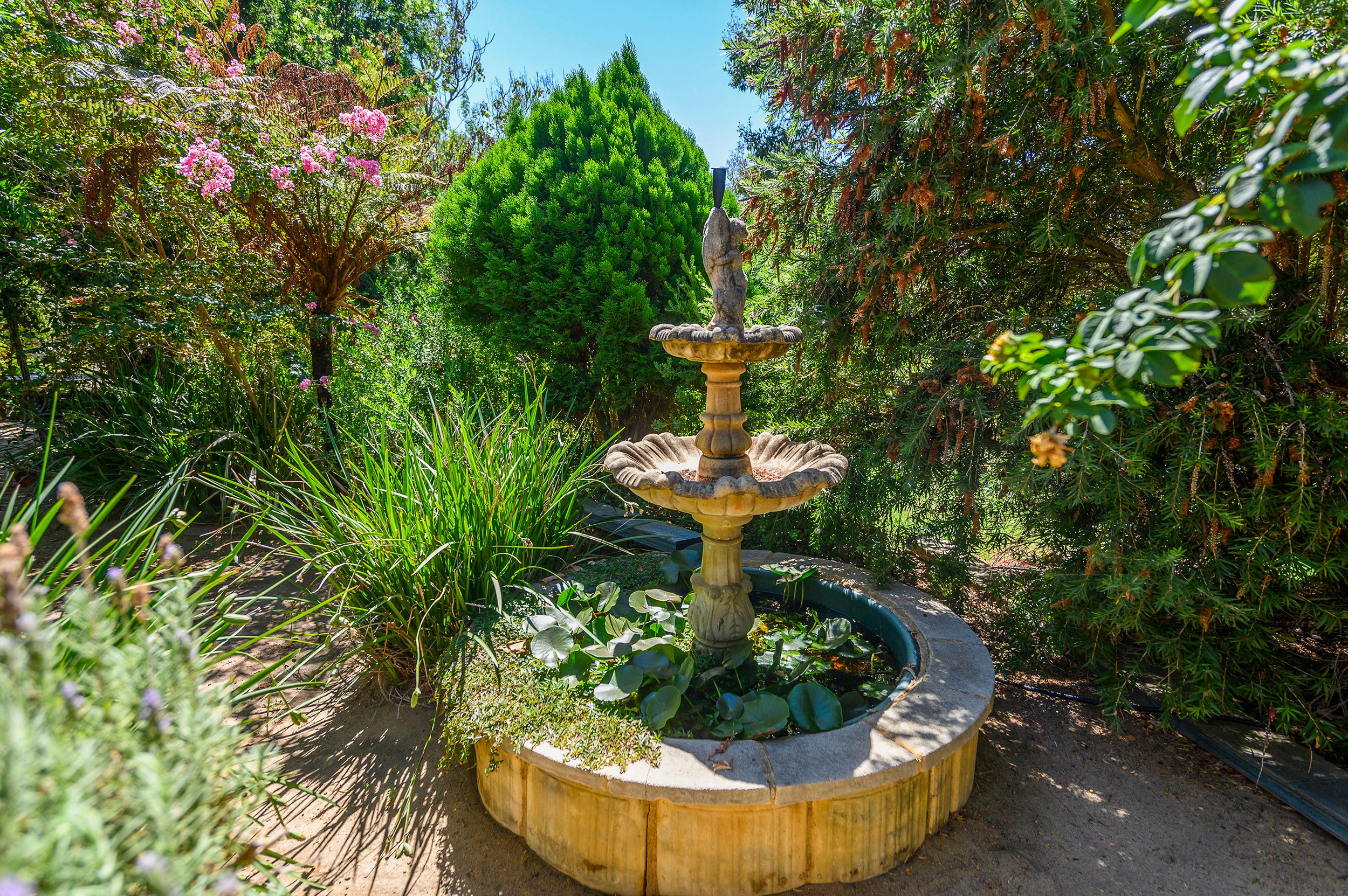 254 Murray Grey Circle, Lower Chittering, WA 6084 House for Sale Ray White Bullsbrook