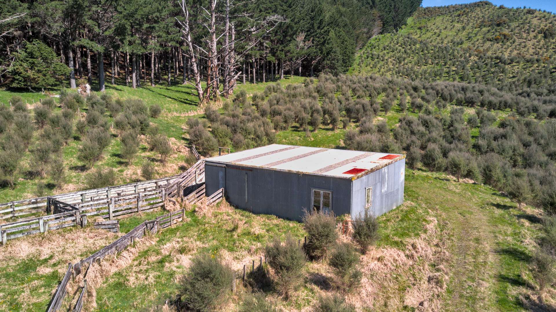 60 Whakapirau Road photo 7