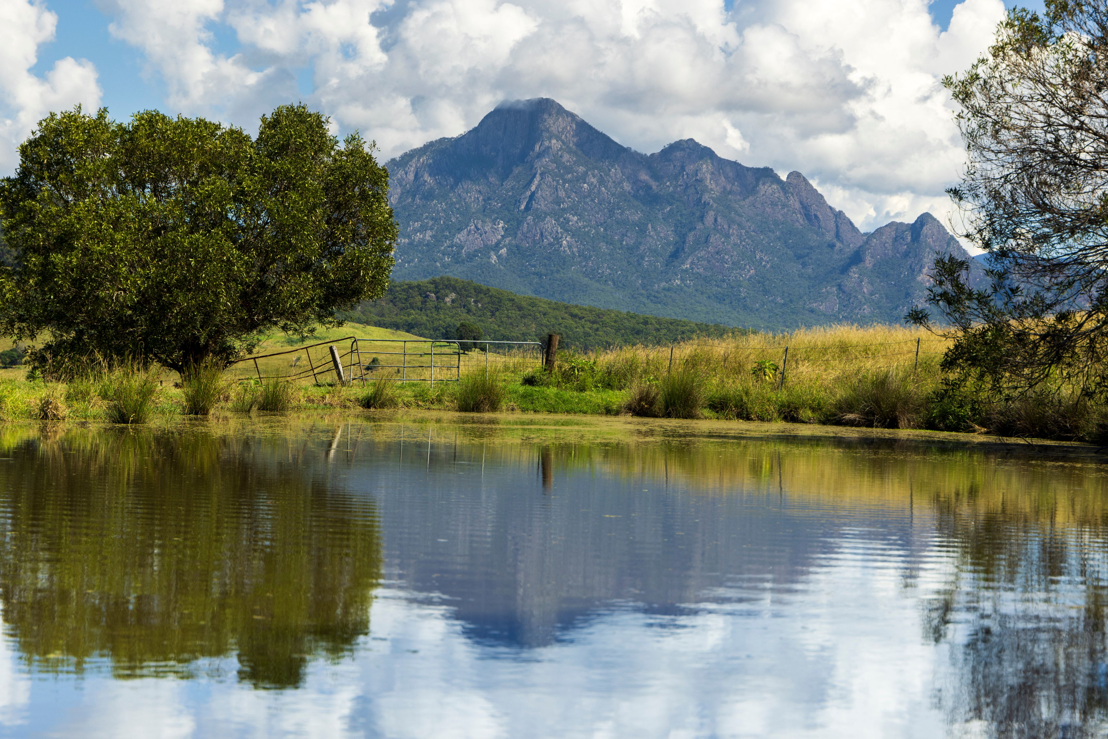 381 Barney View Road, Palen Creek, QLD 4287 Rural Lifestyle Property