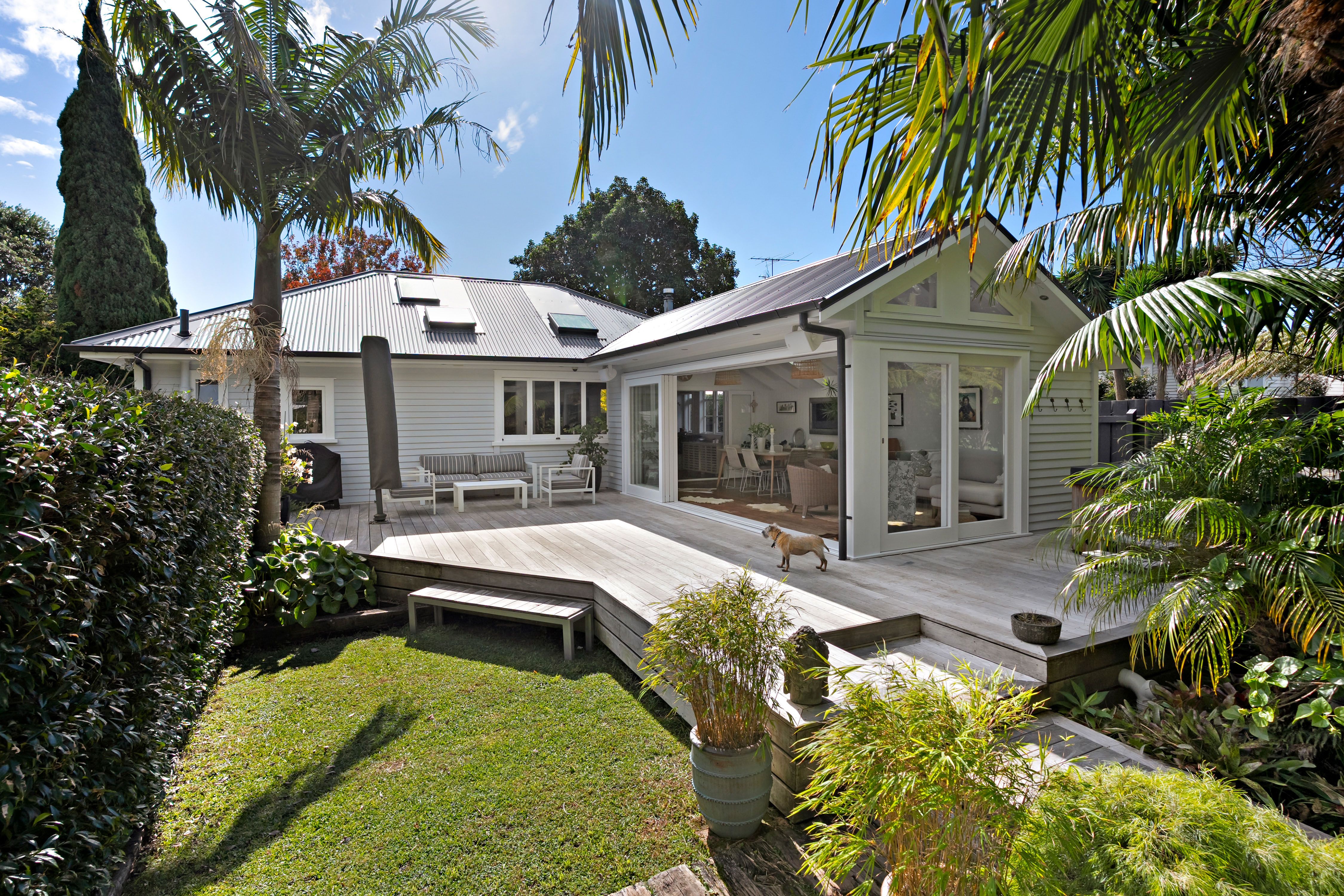 52 Springleigh Avenue, Mount Albert