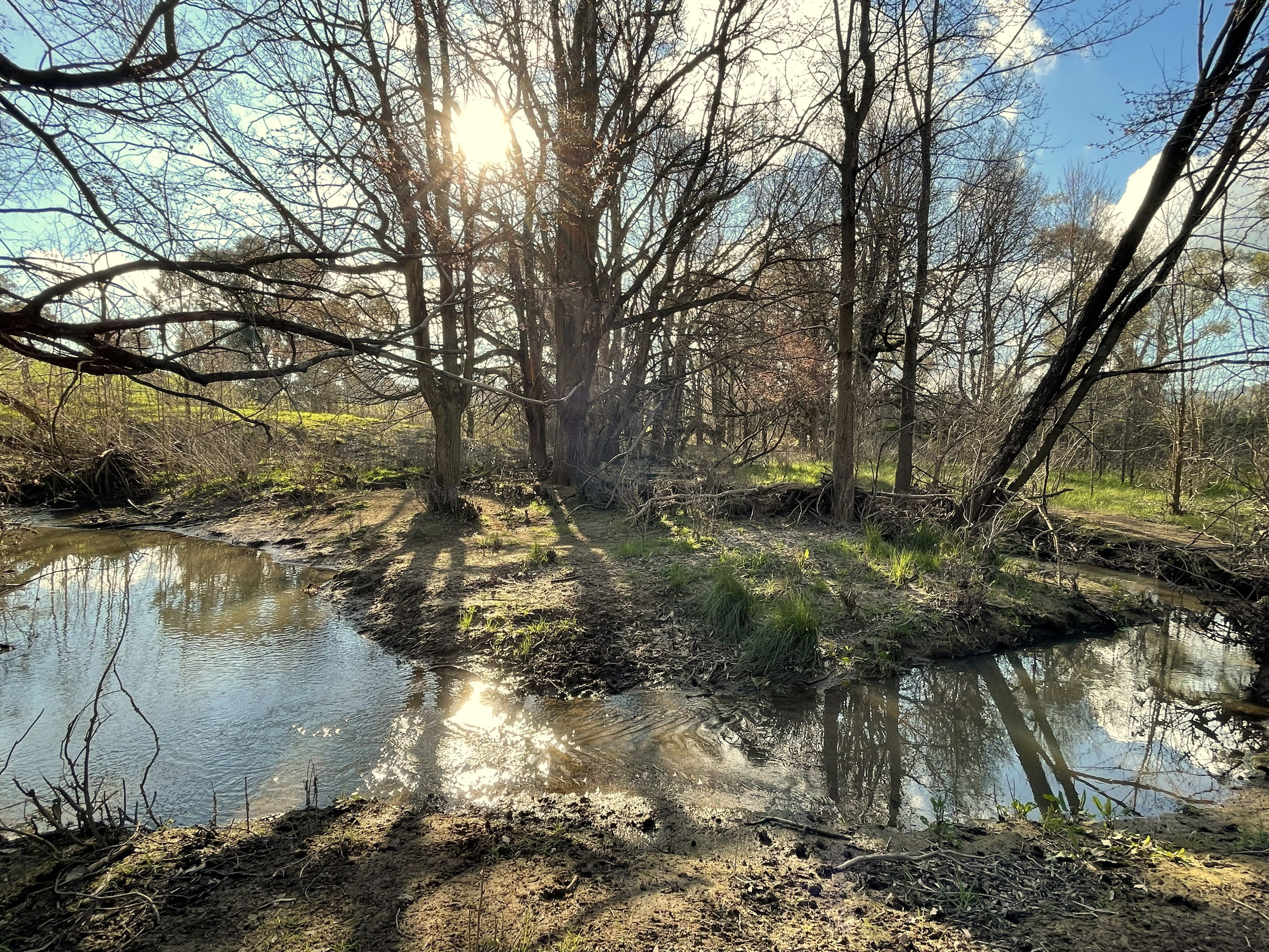 Lot/247 Long Tunnel Road — photo 17 of 20