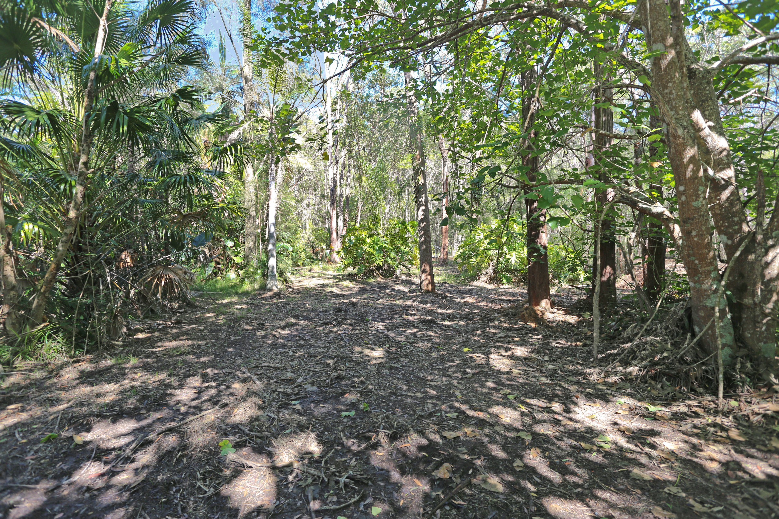 210 Violet Hill Road, Boolambayte, NSW 2423