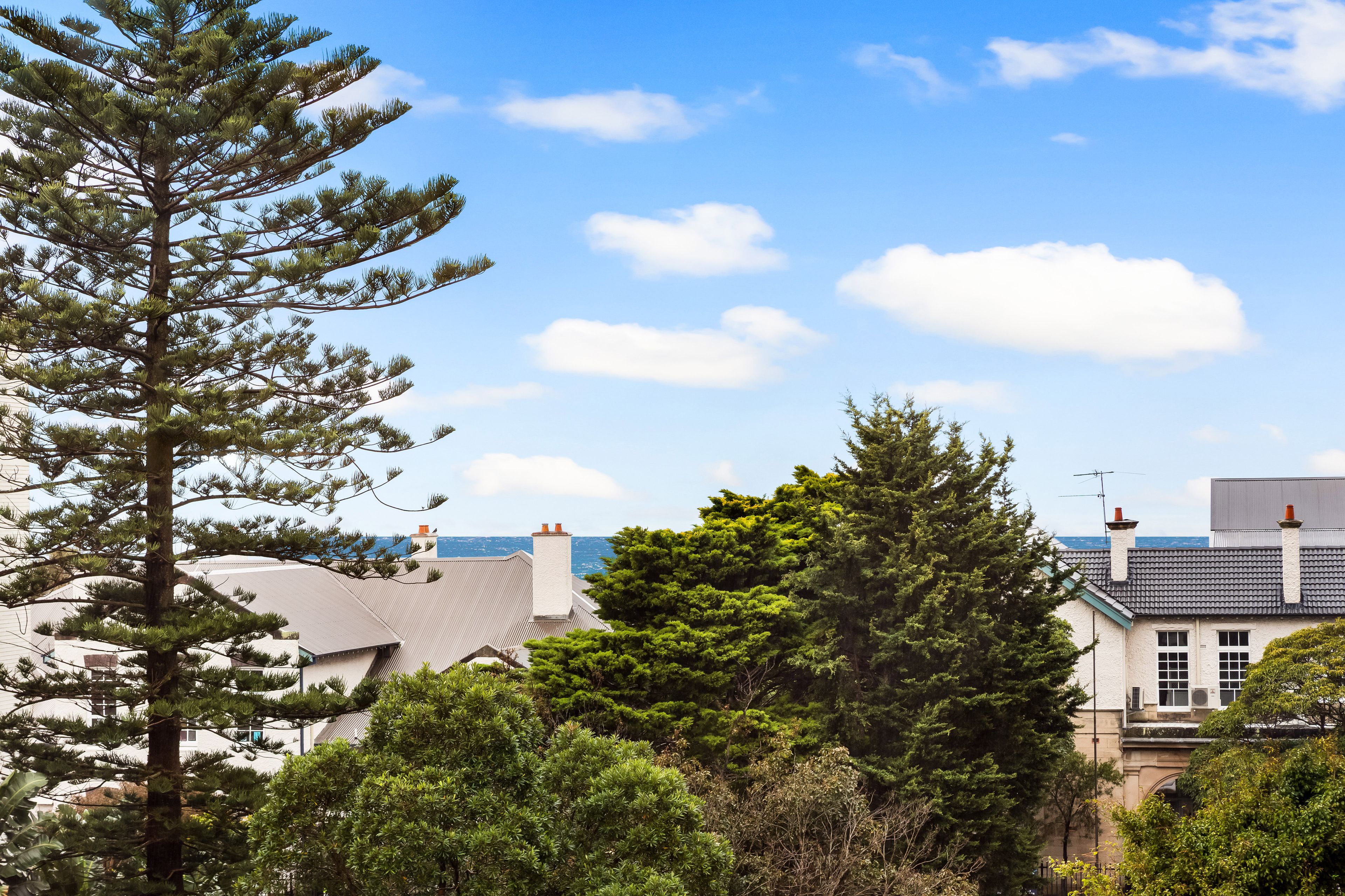 6502/32 Wellington Street, Bondi, NSW 2026