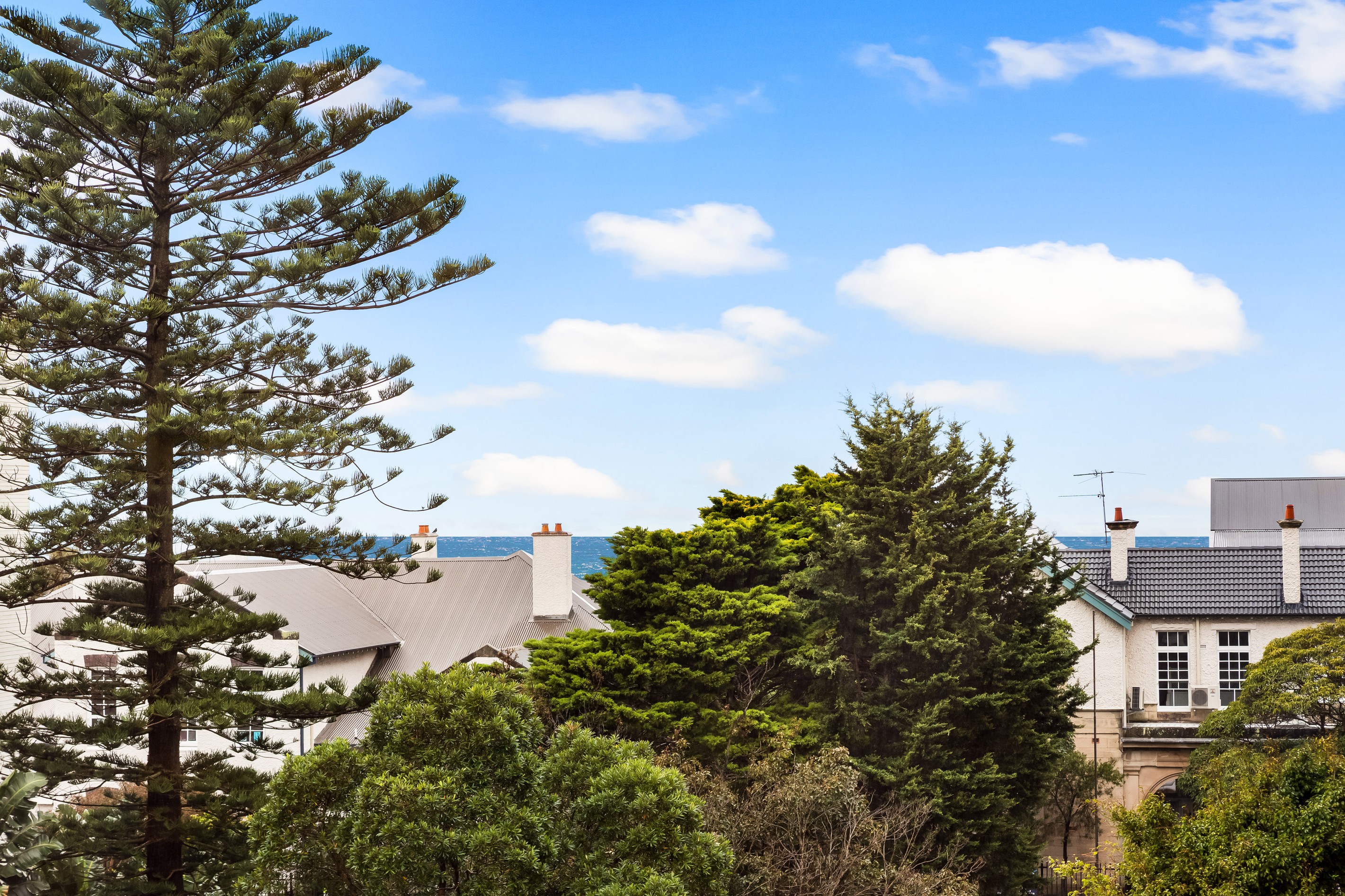 6502/32 Wellington Street, Bondi, NSW 2026