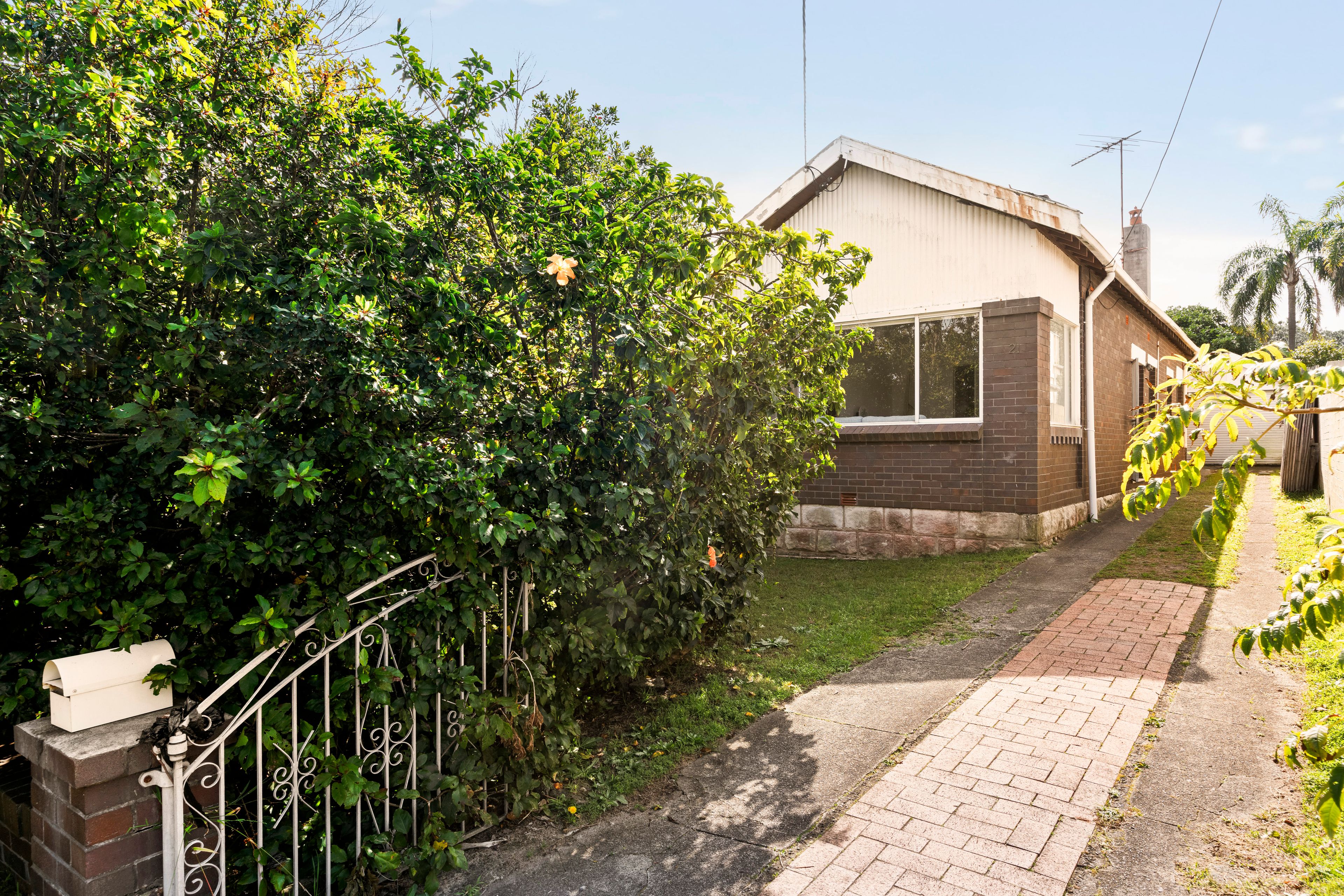 21 Narelle Street — photo from Ray White Phillips & Co