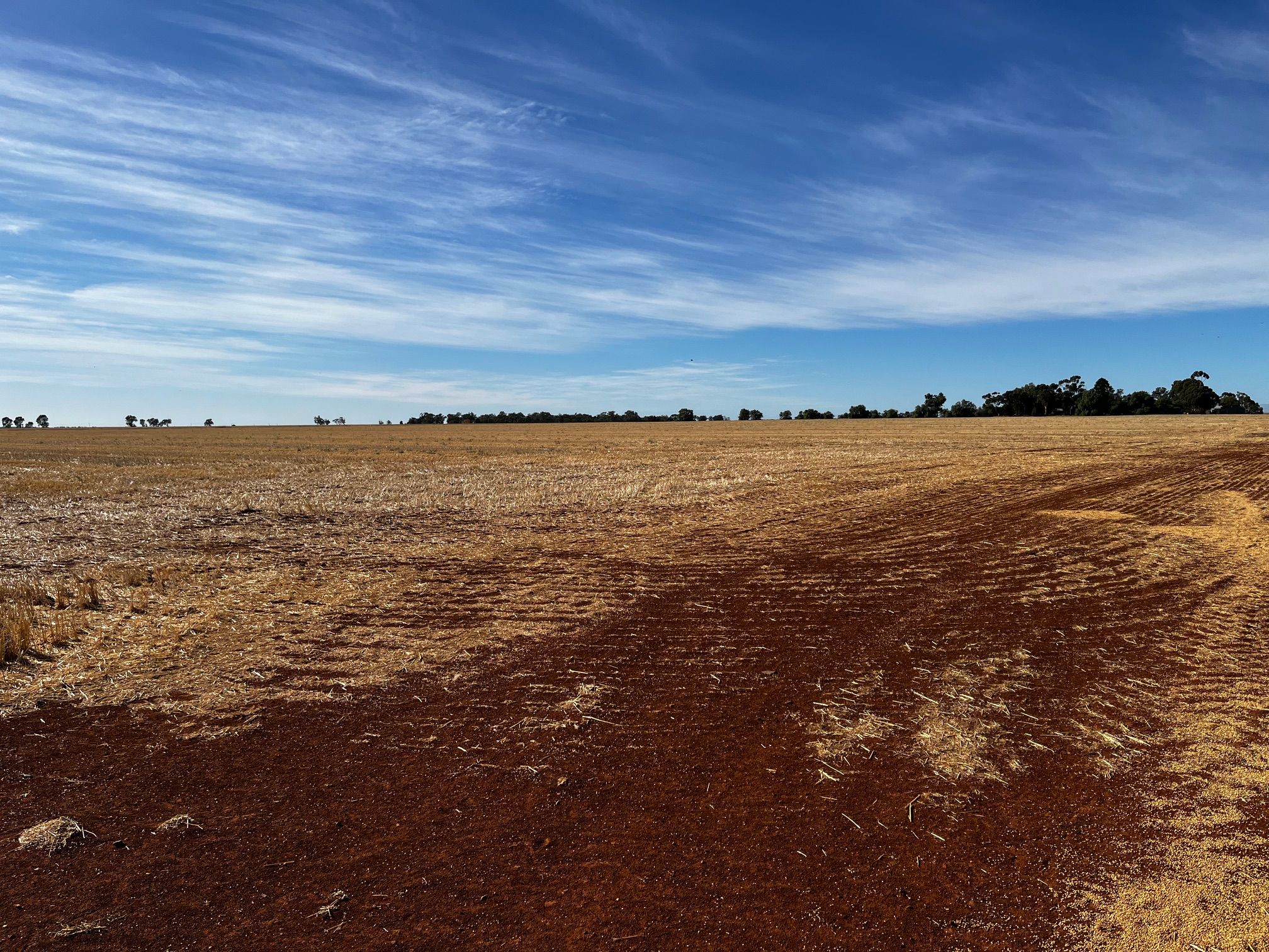 Lot 2 PS445124Y Wilson Road, Nanneella, VIC 3561