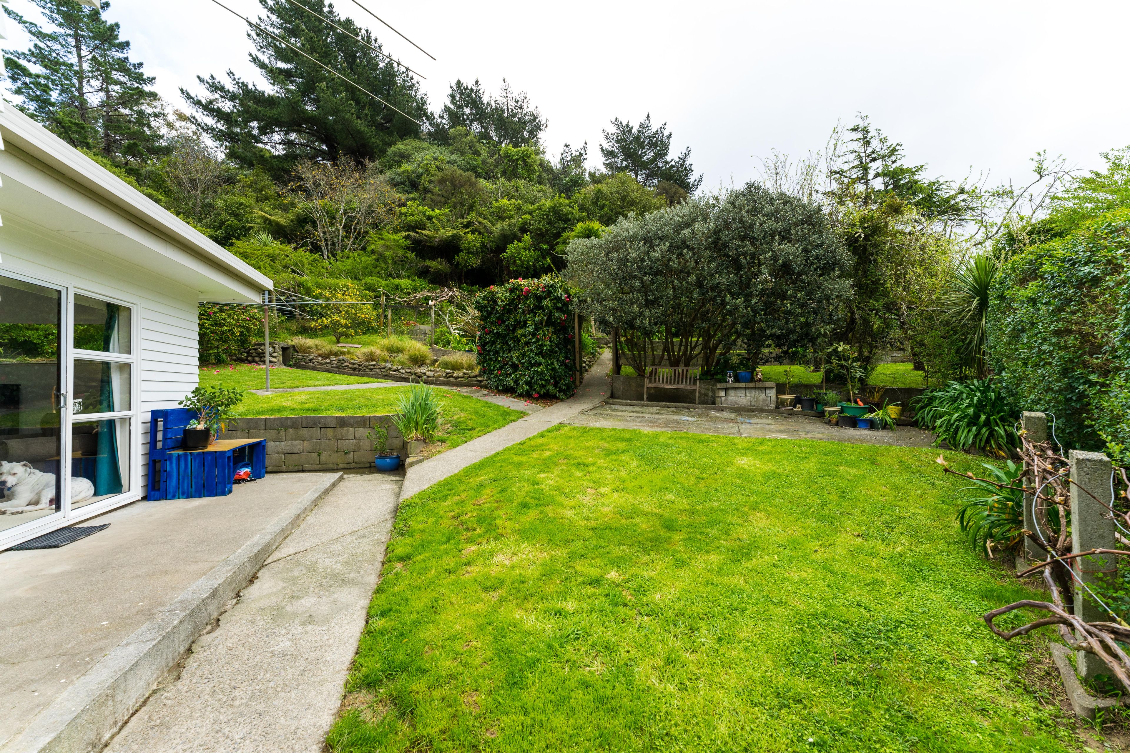 113 Judd Crescent, Naenae, Lower Hutt City