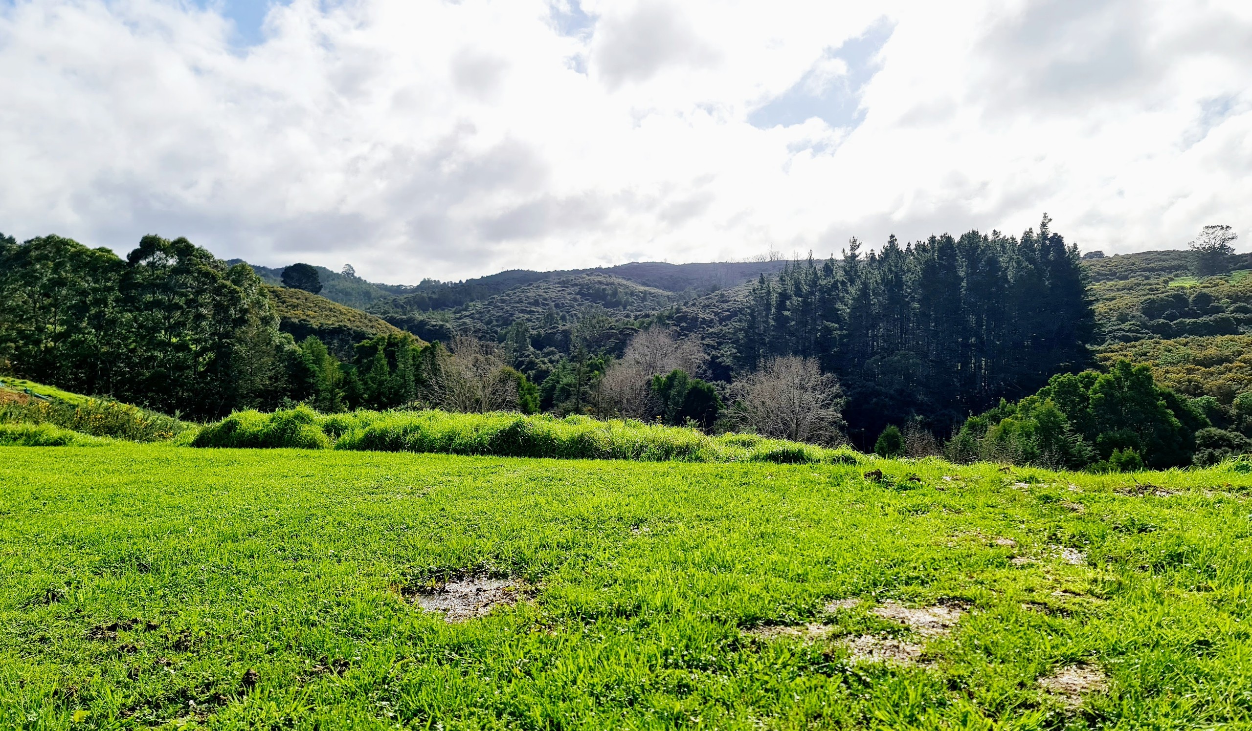 31 Kotuitui Drive, Wainui, Rodney