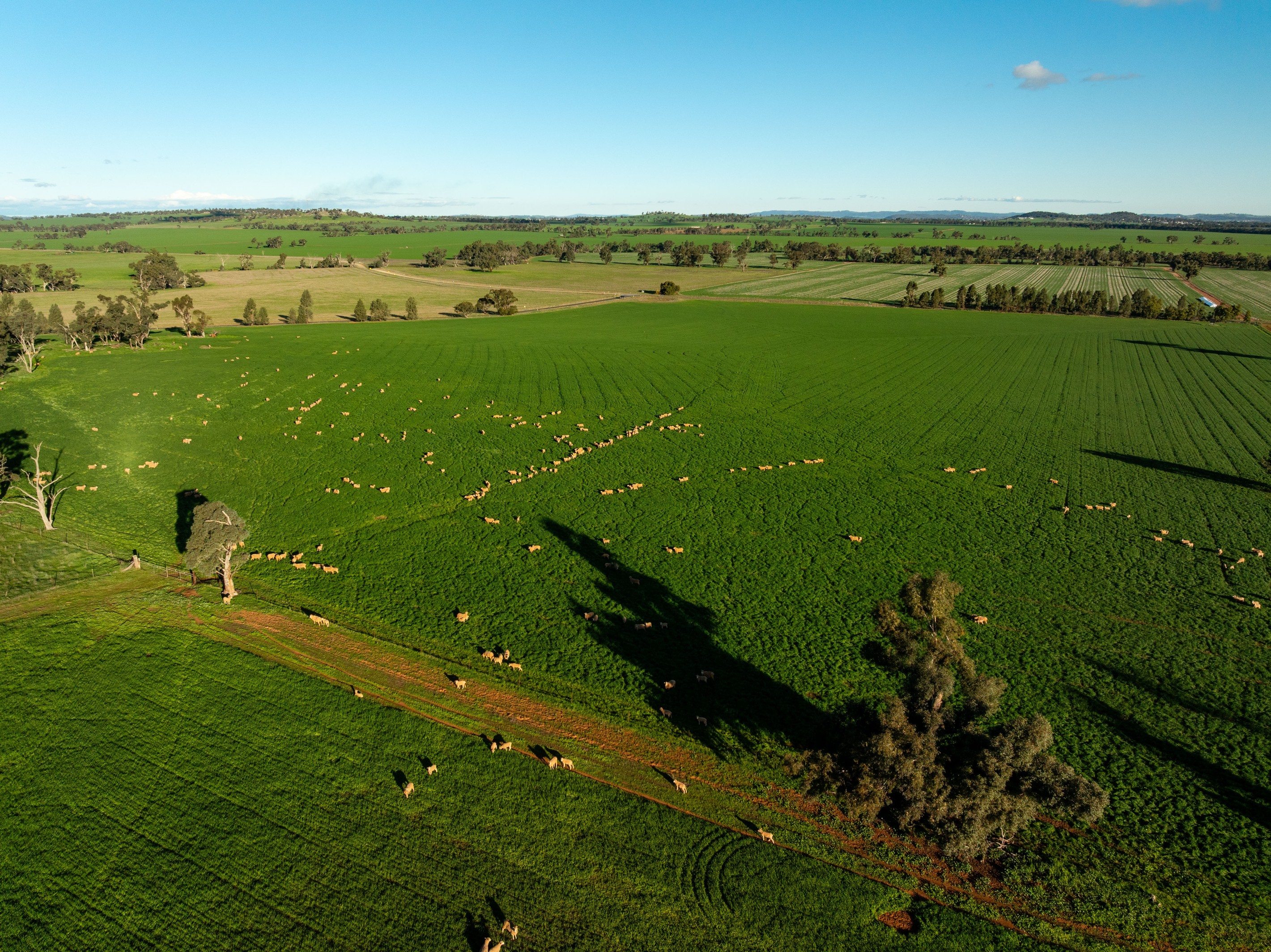 126 Coursing Park Road, Downside, NSW 2650