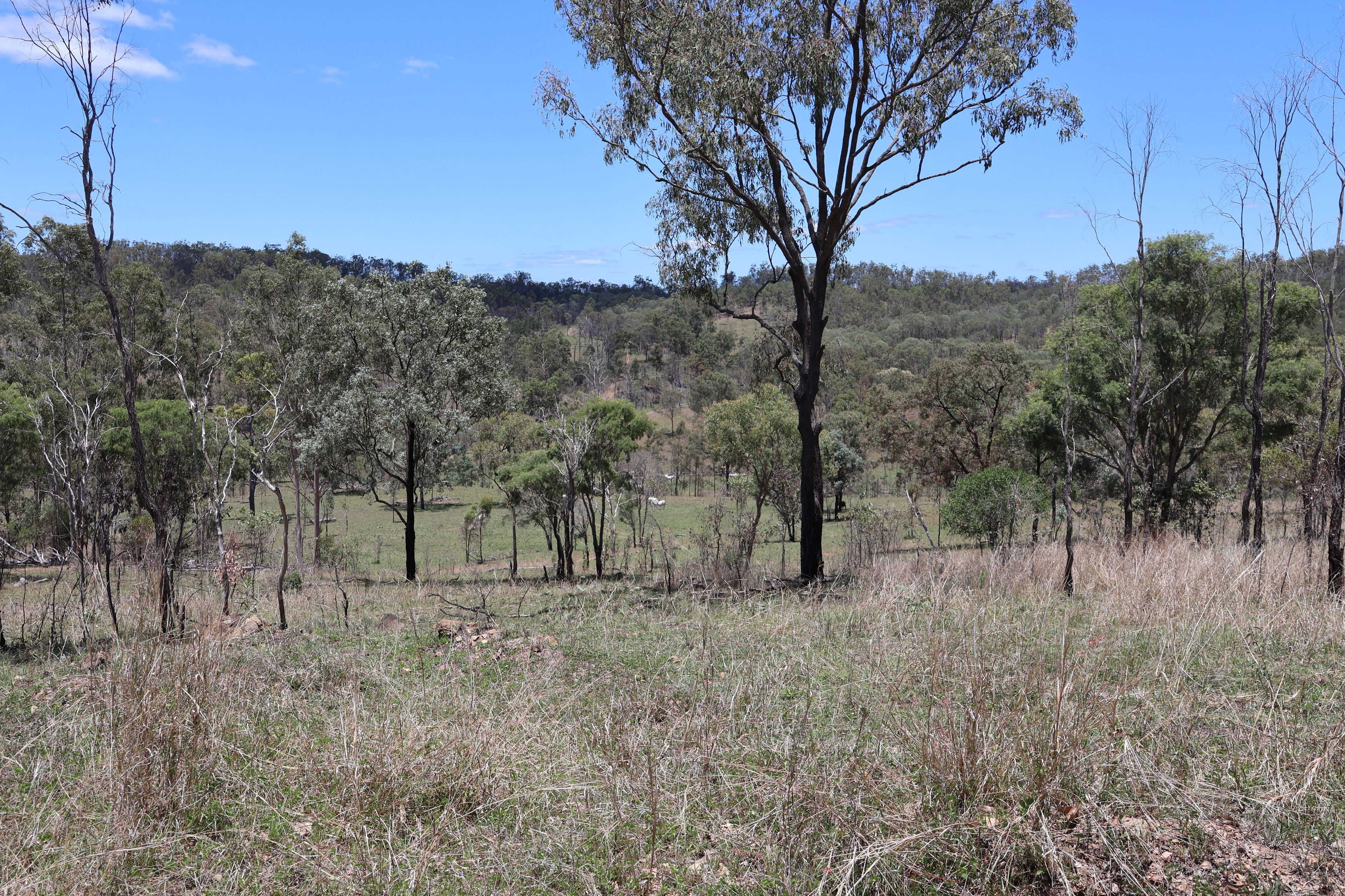 Lot 33, 34 & 35 Bilboolan Road, Mungy — photo 12 of 18