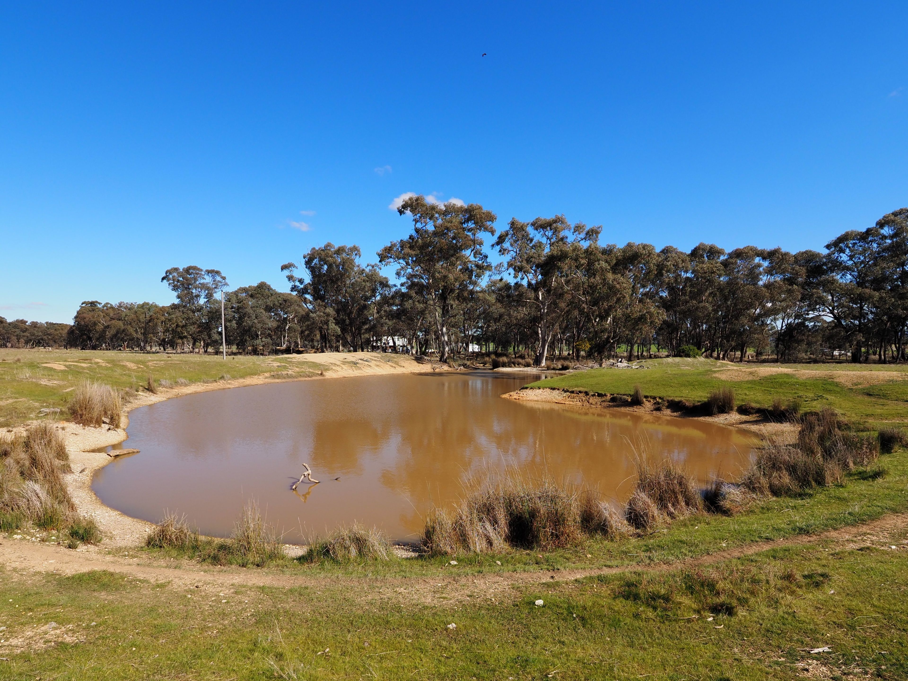 Homebush, VIC 3465