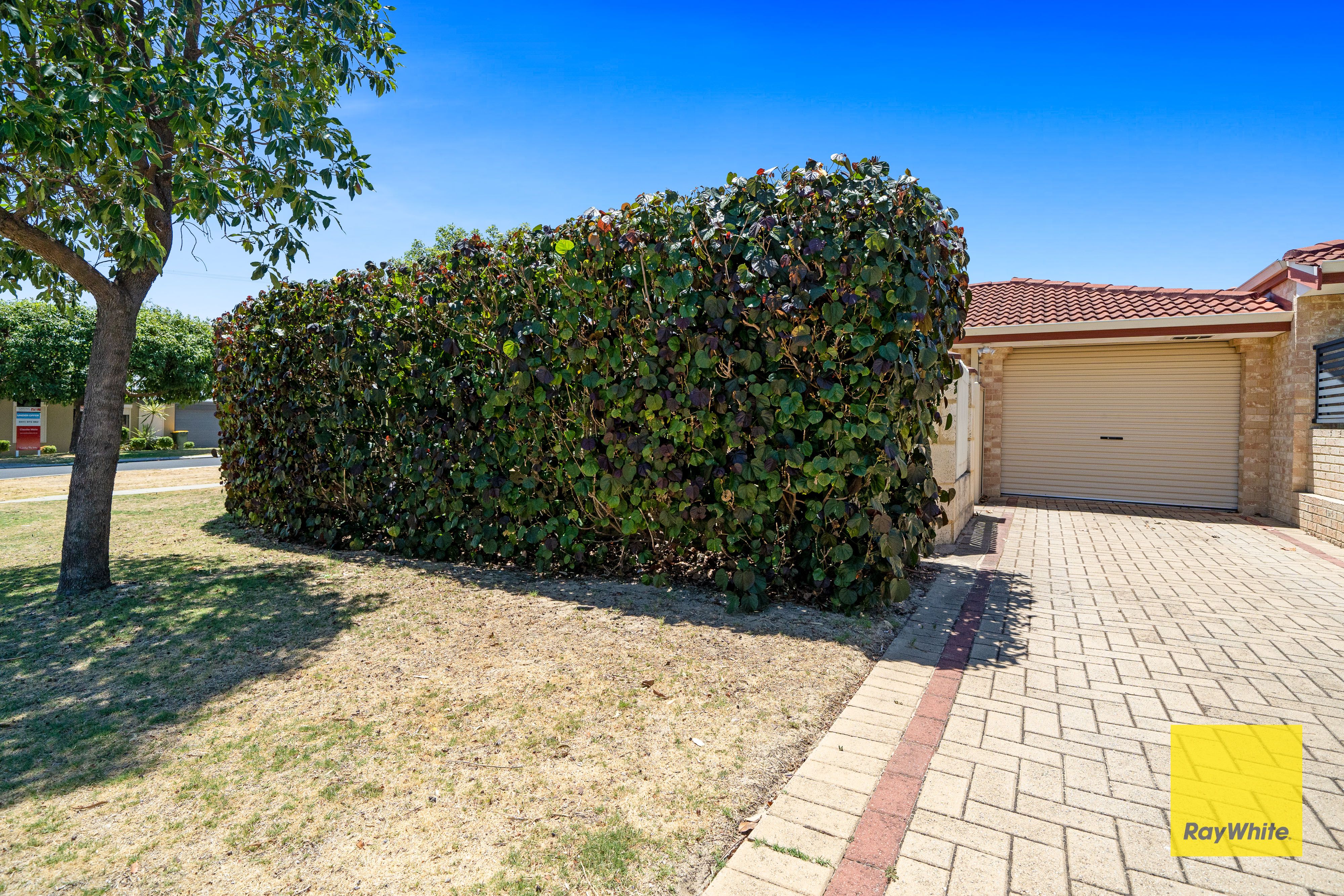 38 Newhaven Way, Nollamara WA 6061